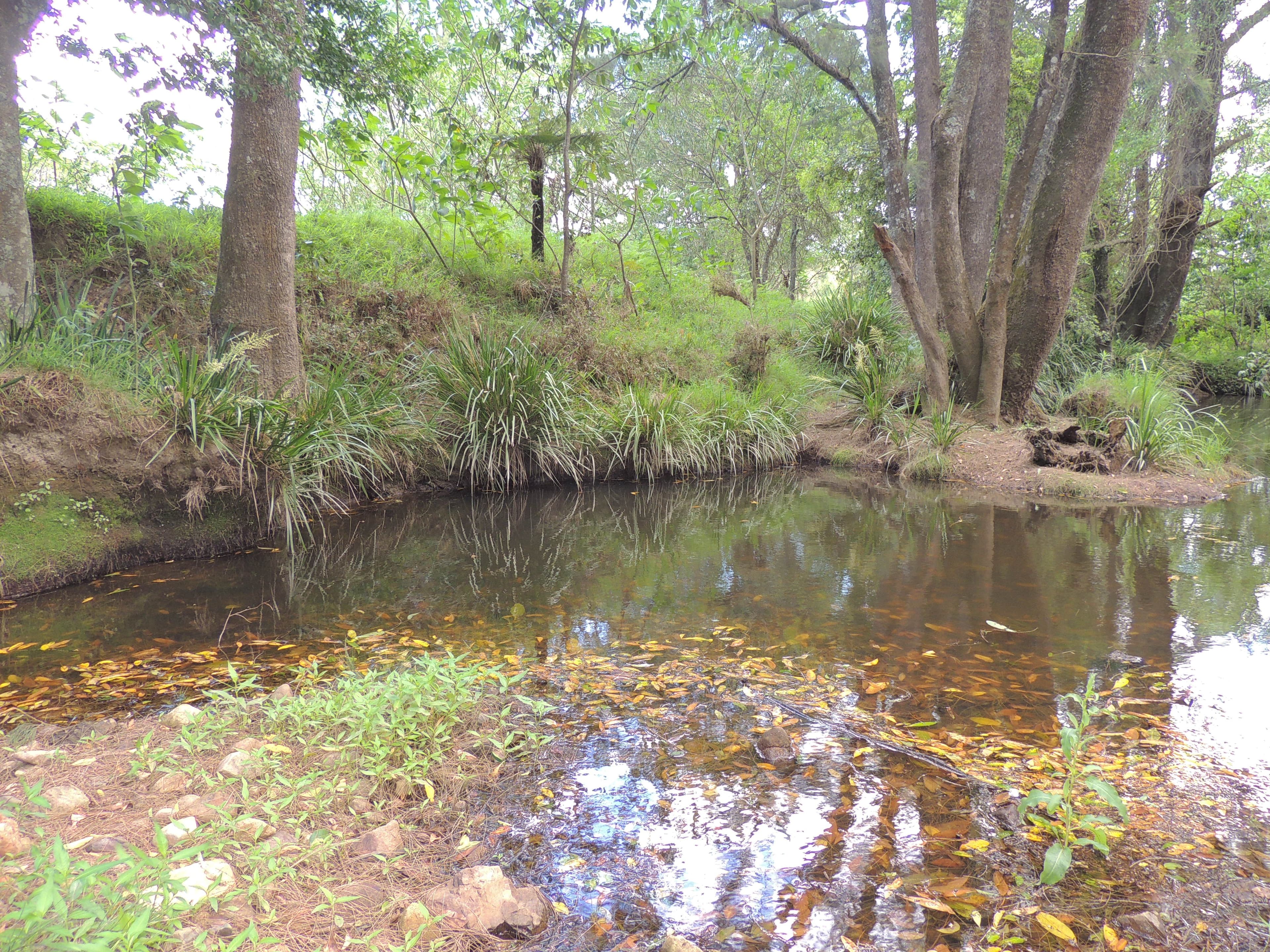 1079 Upper Myall Road, Bulahdelah NSW 2423, Bulahdelah - Thumbnail 6