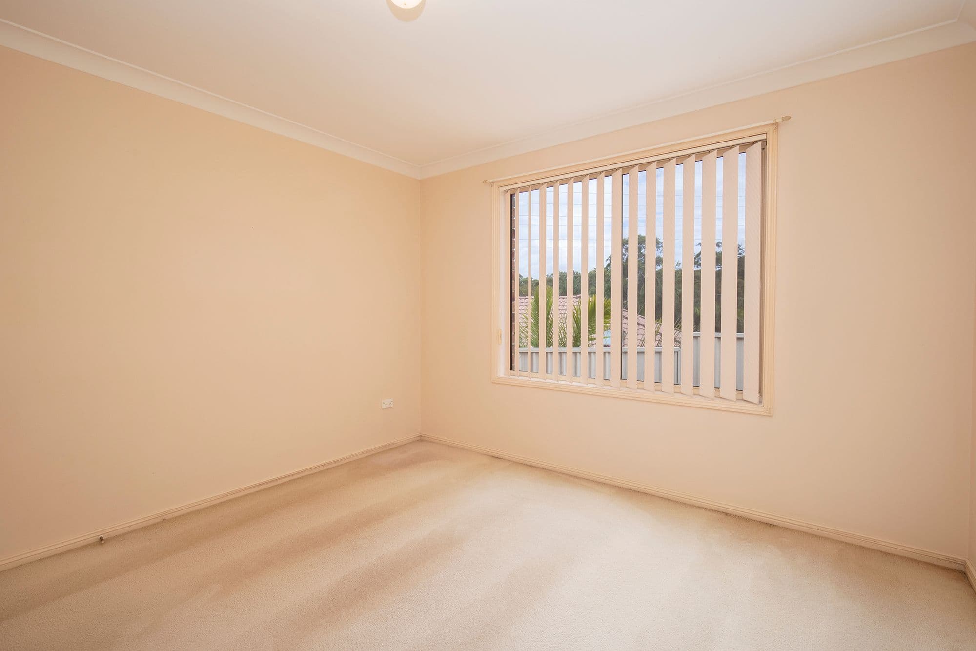 6 Louisa Avenue, Highfields NSW 2289, Highfields - Thumbnail 8
