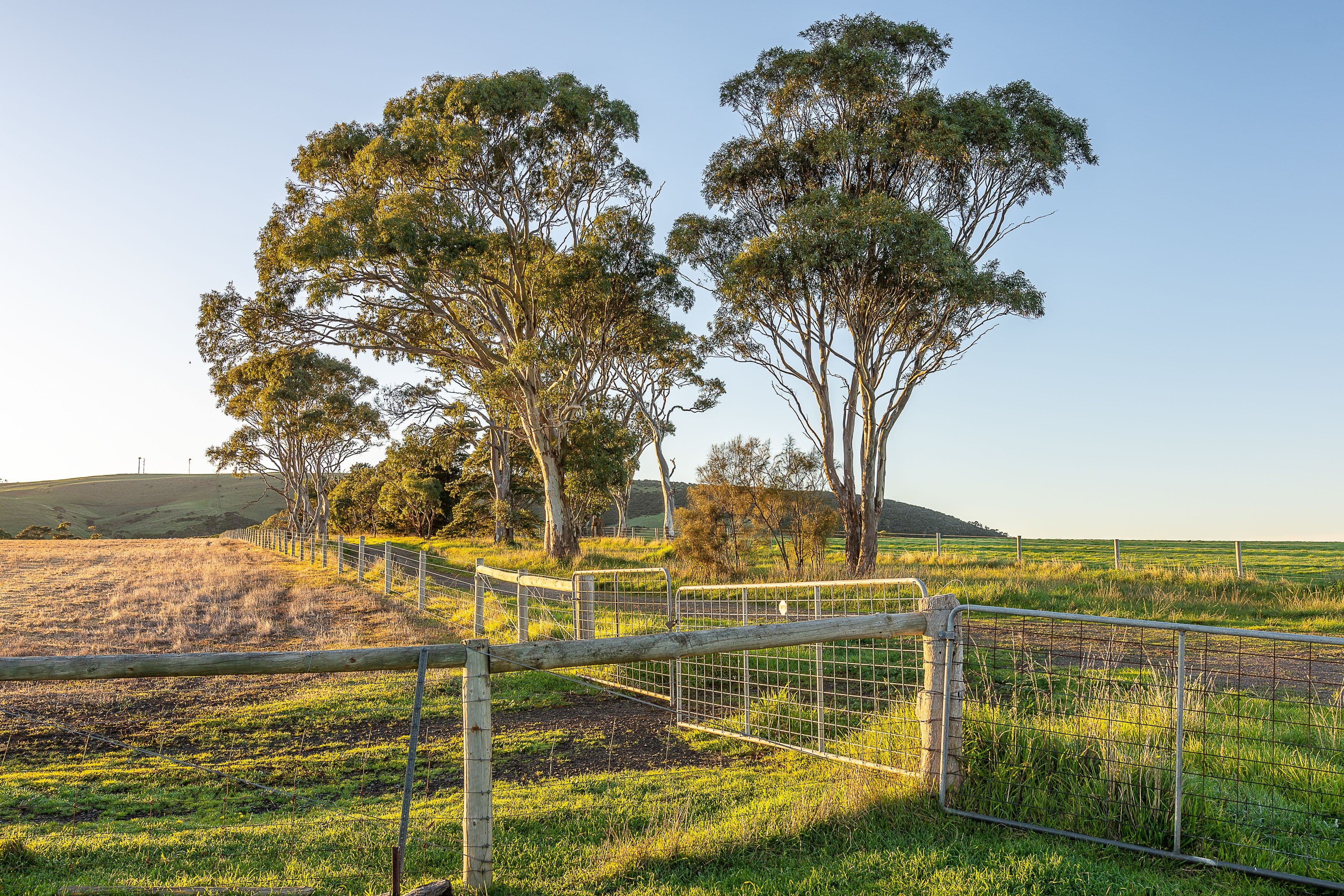 Lot 301-303 Victor Harbor Road, Hindmarsh Valley SA 5211, Hindmarsh Valley - Thumbnail 6