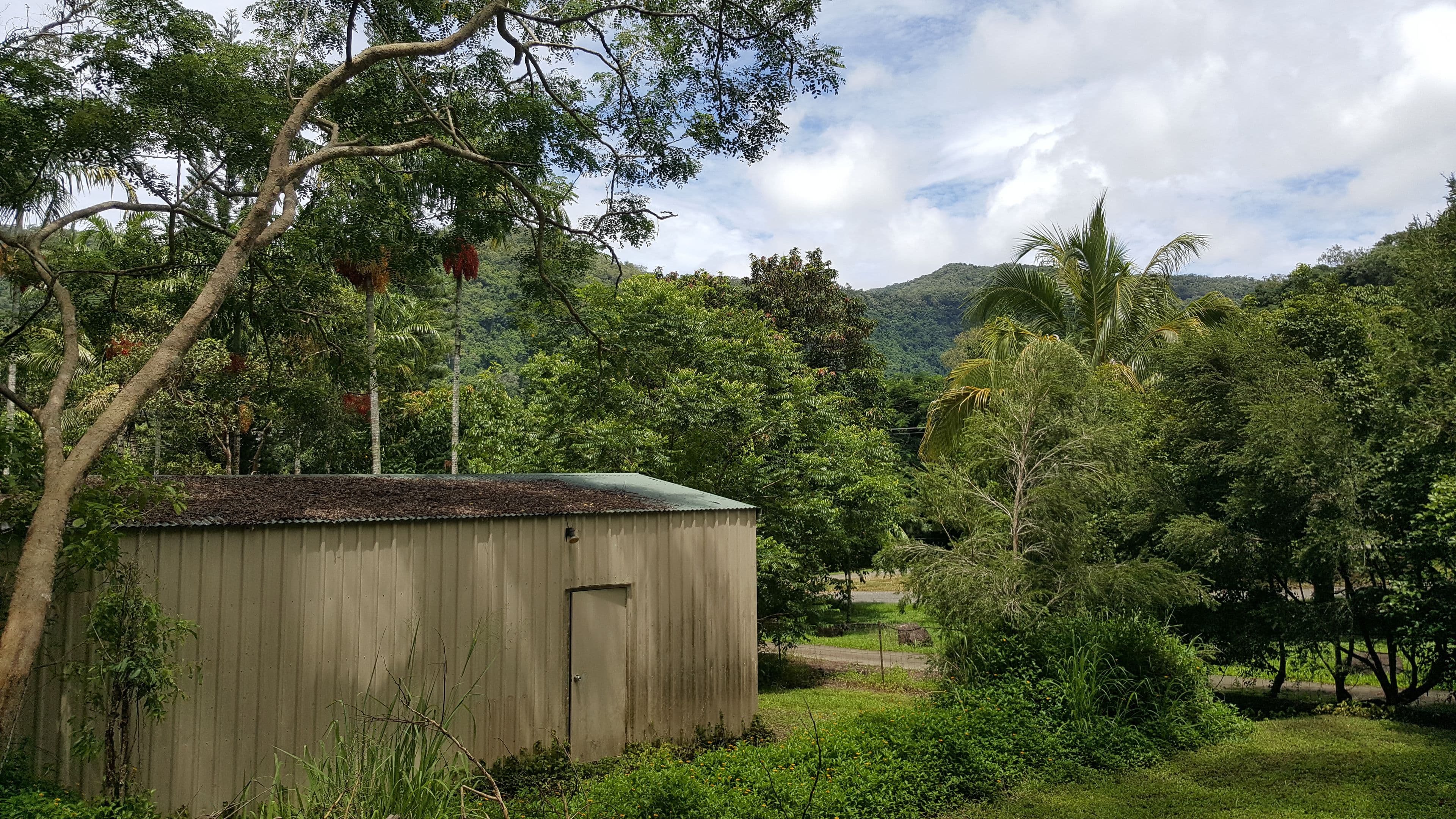40 Grays Creek Terrace, Mowbray QLD 4877, Mowbray - Thumbnail 6