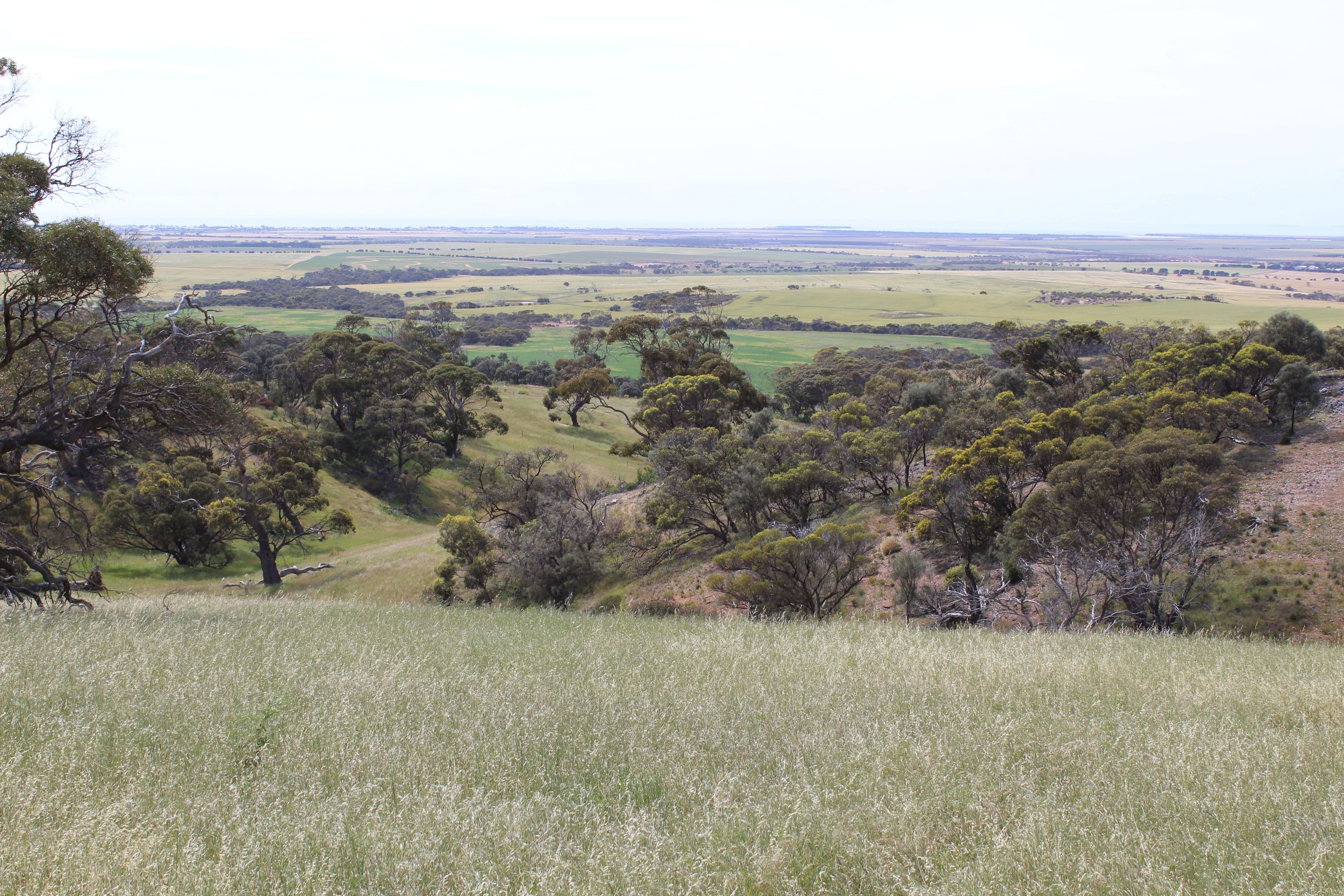 Lot 17 Foothills Road, Tumby Bay SA 5605, Tumby Bay - Thumbnail 7