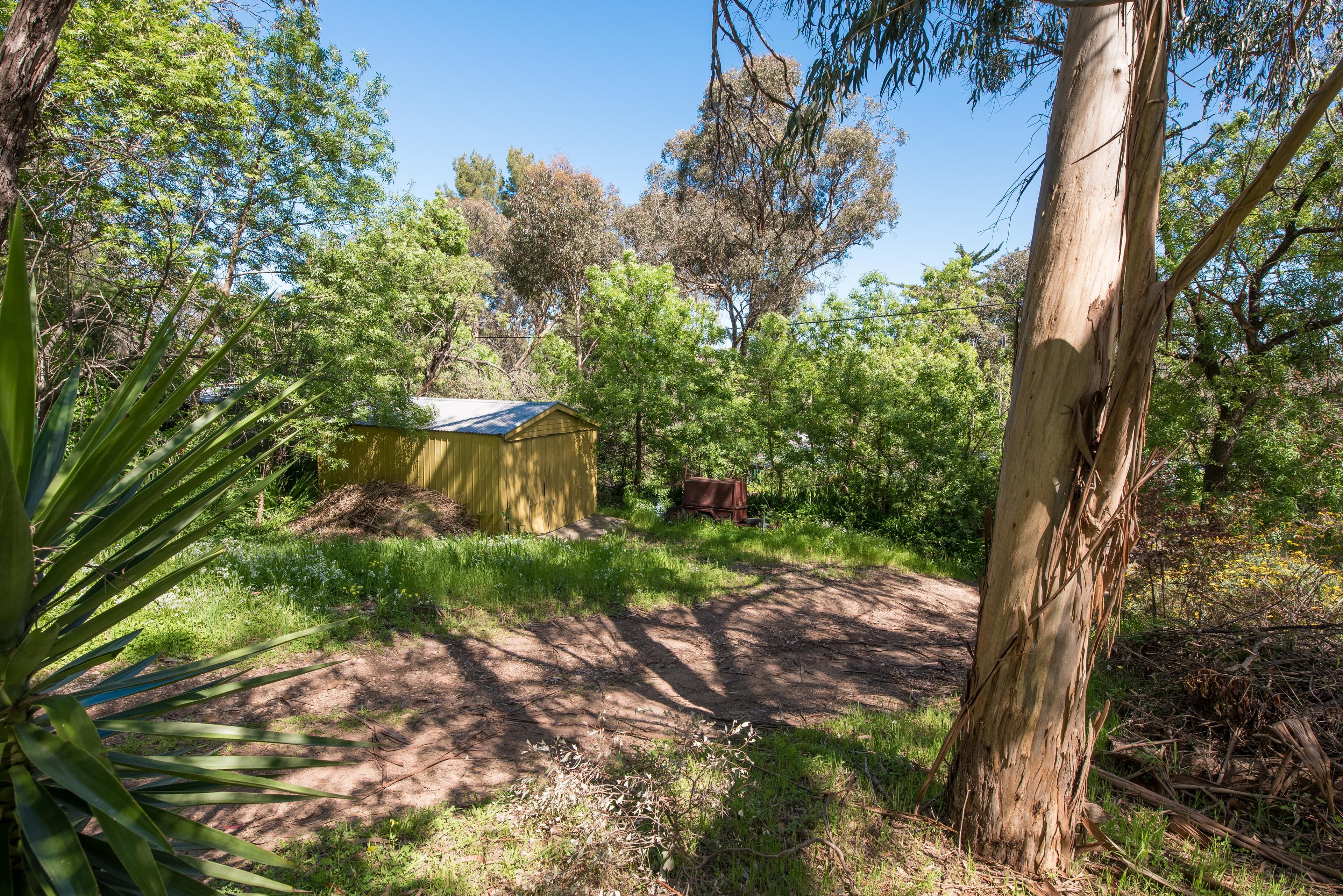 22 Mulga Road, Hawthorndene SA 5051, Hawthorndene - Thumbnail 6