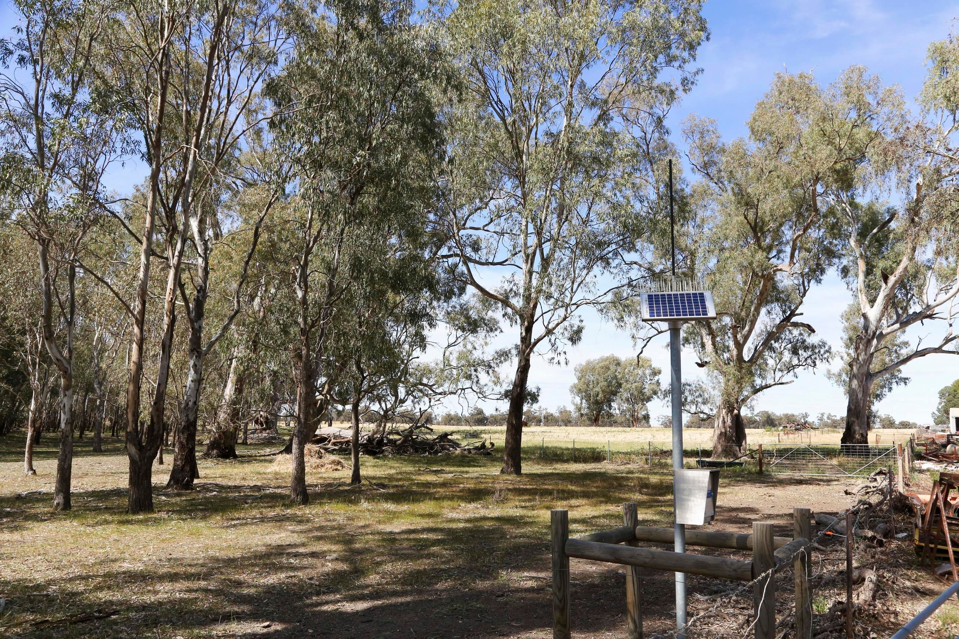 Euroley NSW 2700, Euroley - Thumbnail 8