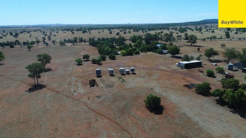 The Ranch Grassmere Road, CONDOBOLIN NSW 2877, Condobolin - Thumbnail 3