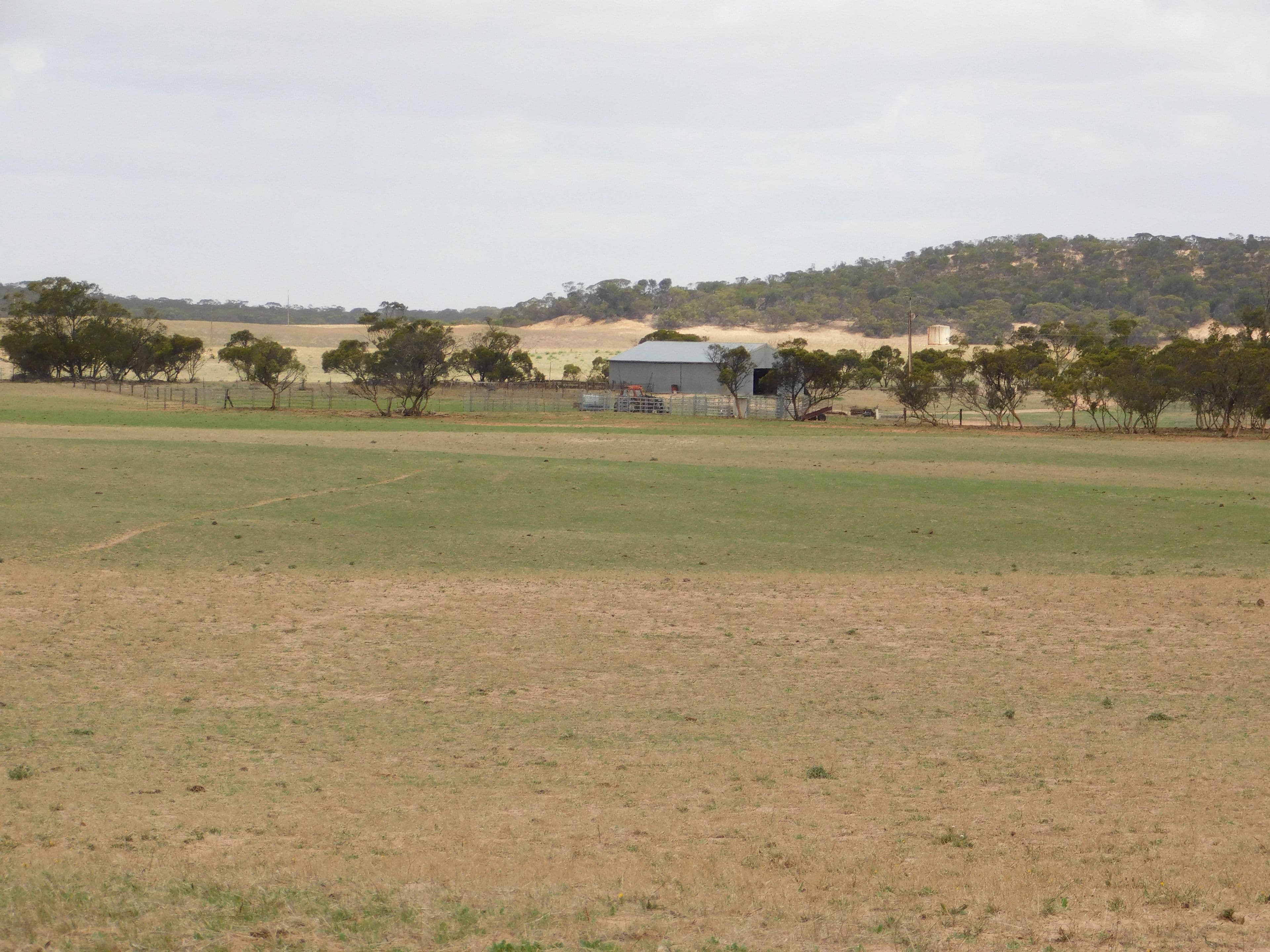 603 DAY Road, Lameroo SA 5302, Lameroo - Thumbnail 4