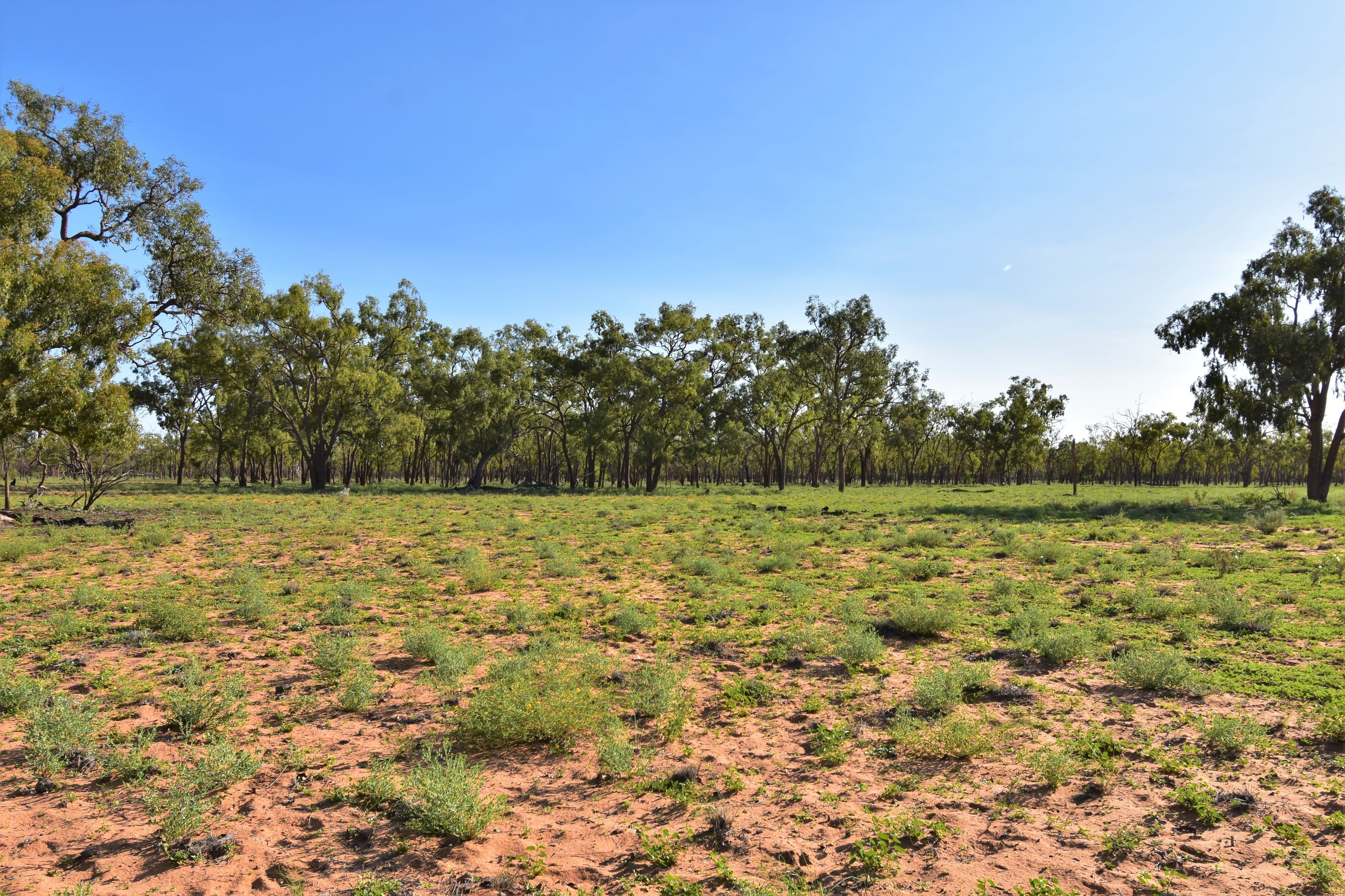 Barcaldine QLD 4725, Barcaldine - Thumbnail 2