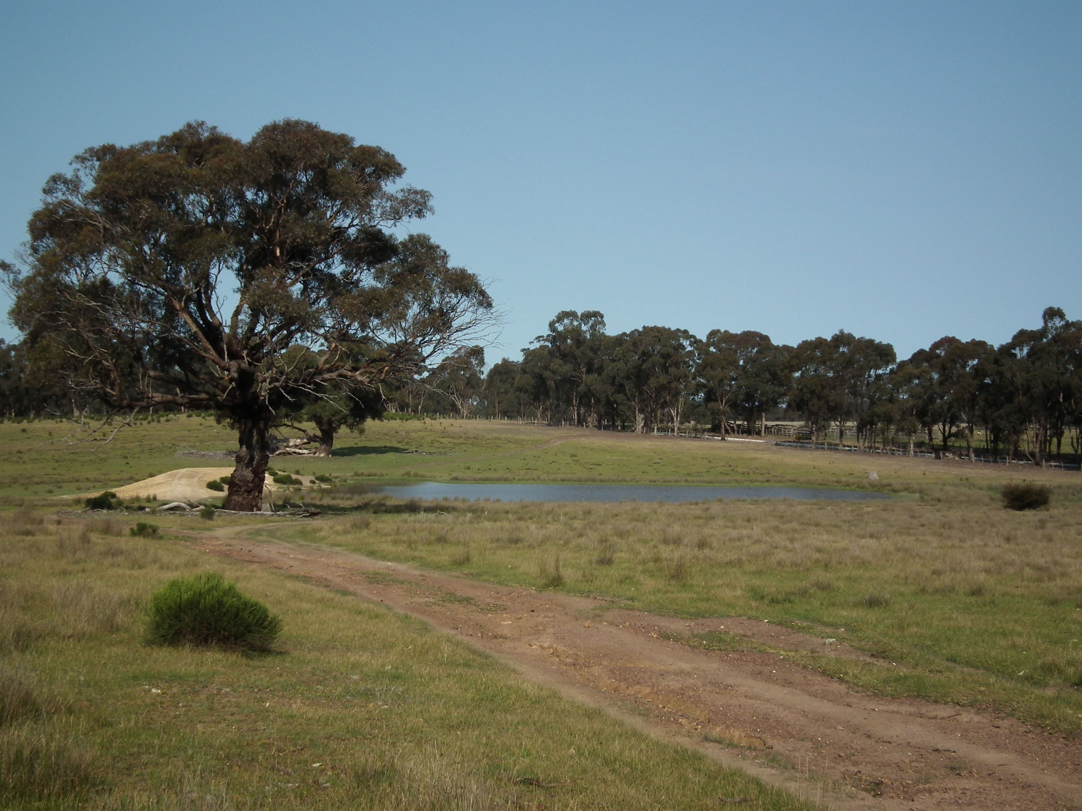 "Dwyers" Snipey Road, KIRWANS BRIDGE VIC 3608, Kirwans Bridge - Thumbnail 3