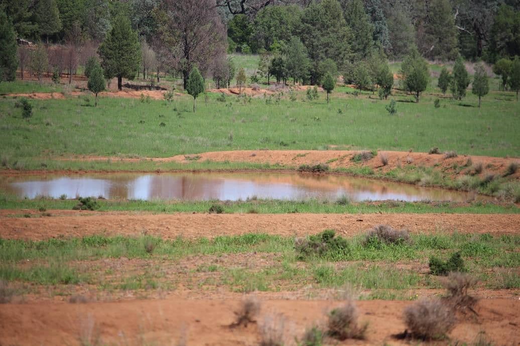260 Royal Oak Road, Bingara NSW 2404, Bingara - Thumbnail 5