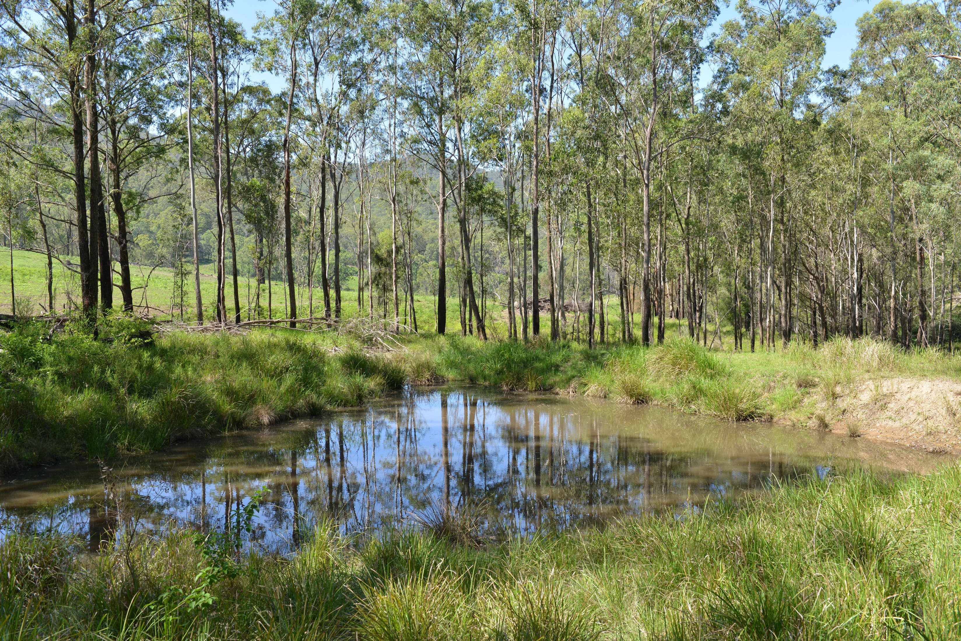 Lot 73 & 45 Nowendoc Road, Knorrit Flat NSW 2424, Knorrit Flat - Thumbnail 2