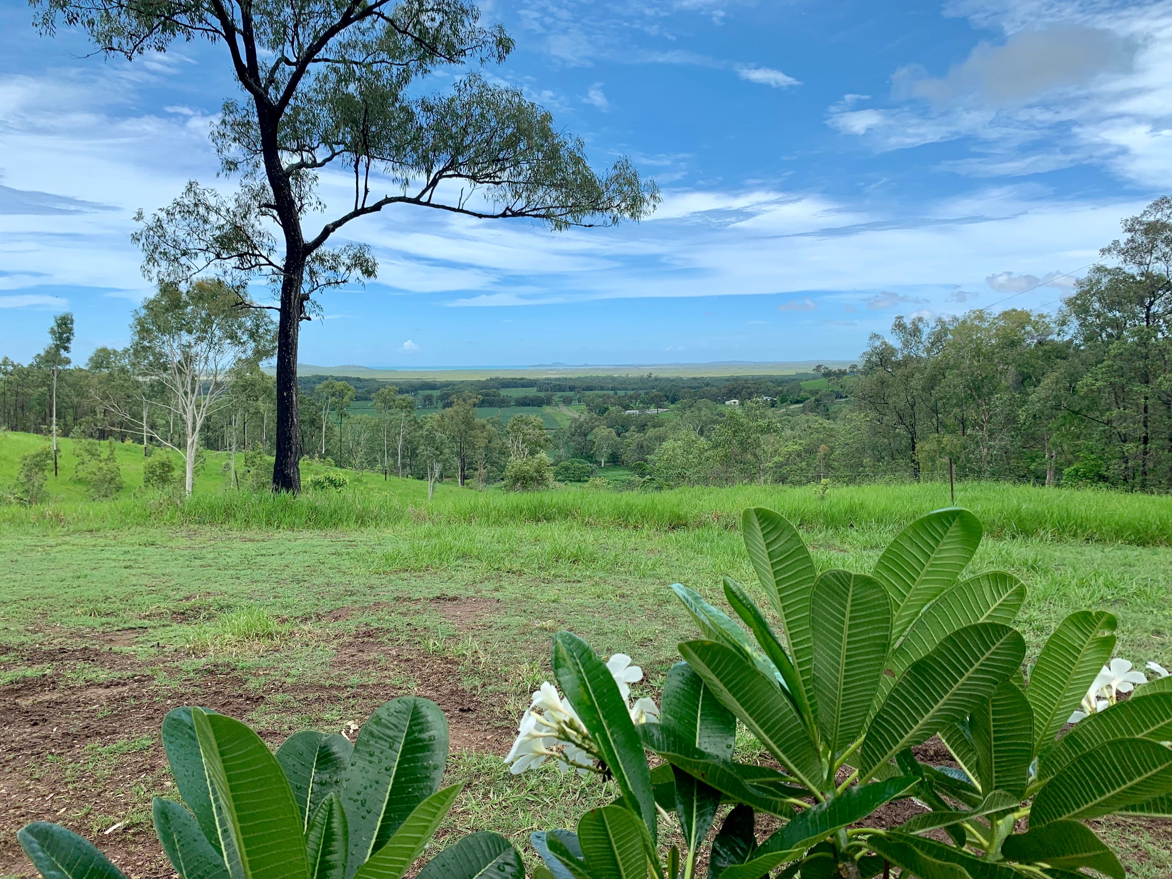 70 Muller Roads, Sarina QLD 4737, Sarina - Thumbnail 4