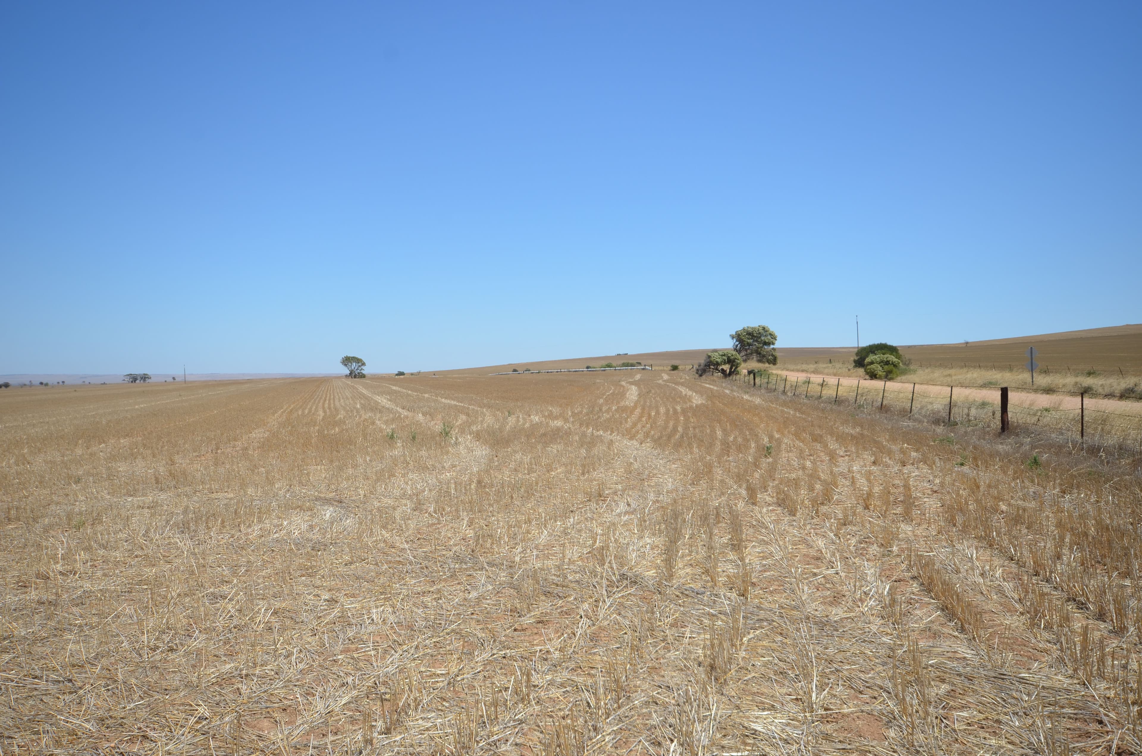 "Forrest" Dohse Road, South Hummocks SA 5550, South Hummocks - Thumbnail 4