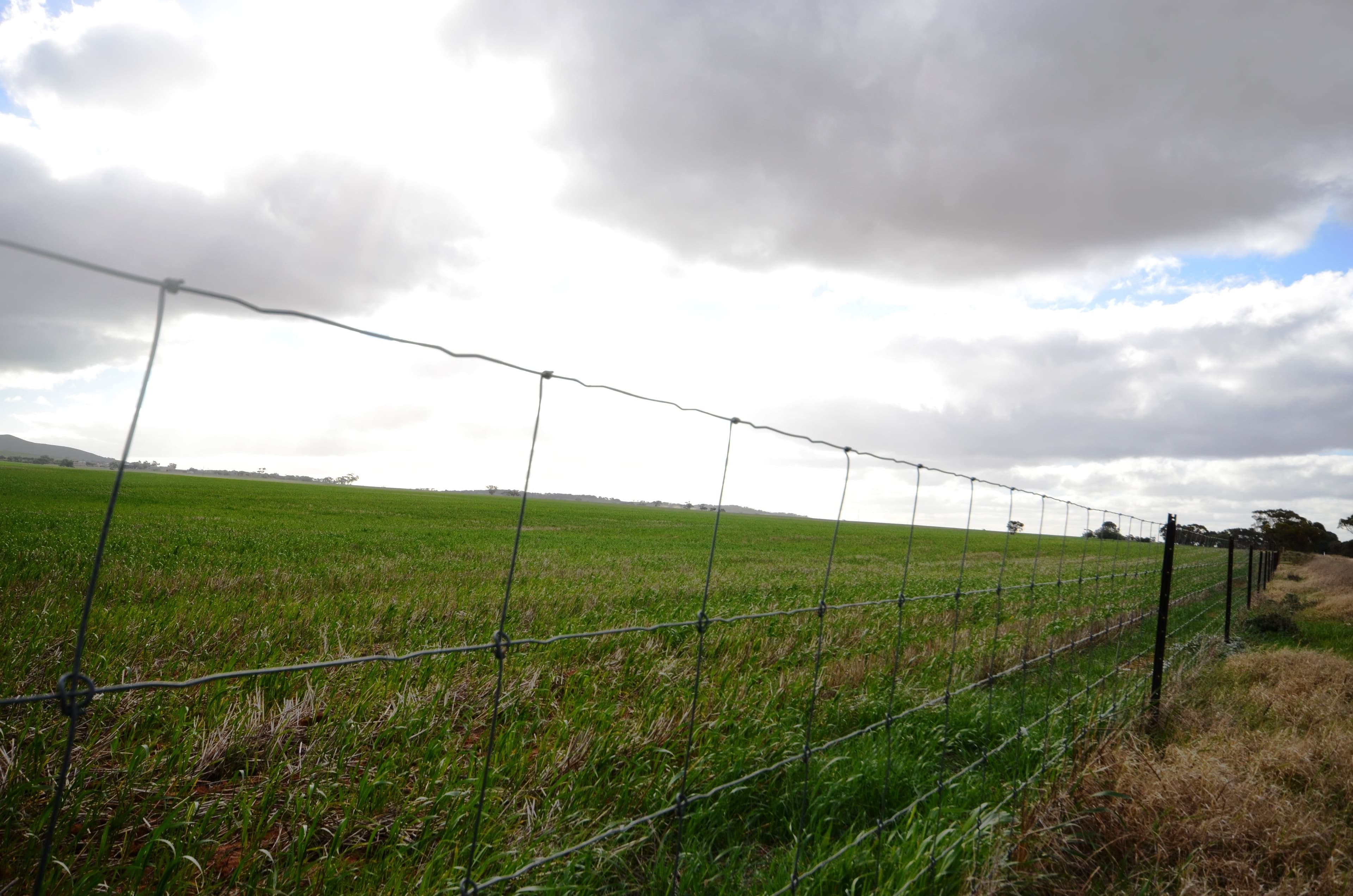 "Roockes" and "Schulzs" - Von Reiben Road, Neales Flat SA 5374, Neales Flat - Thumbnail 4
