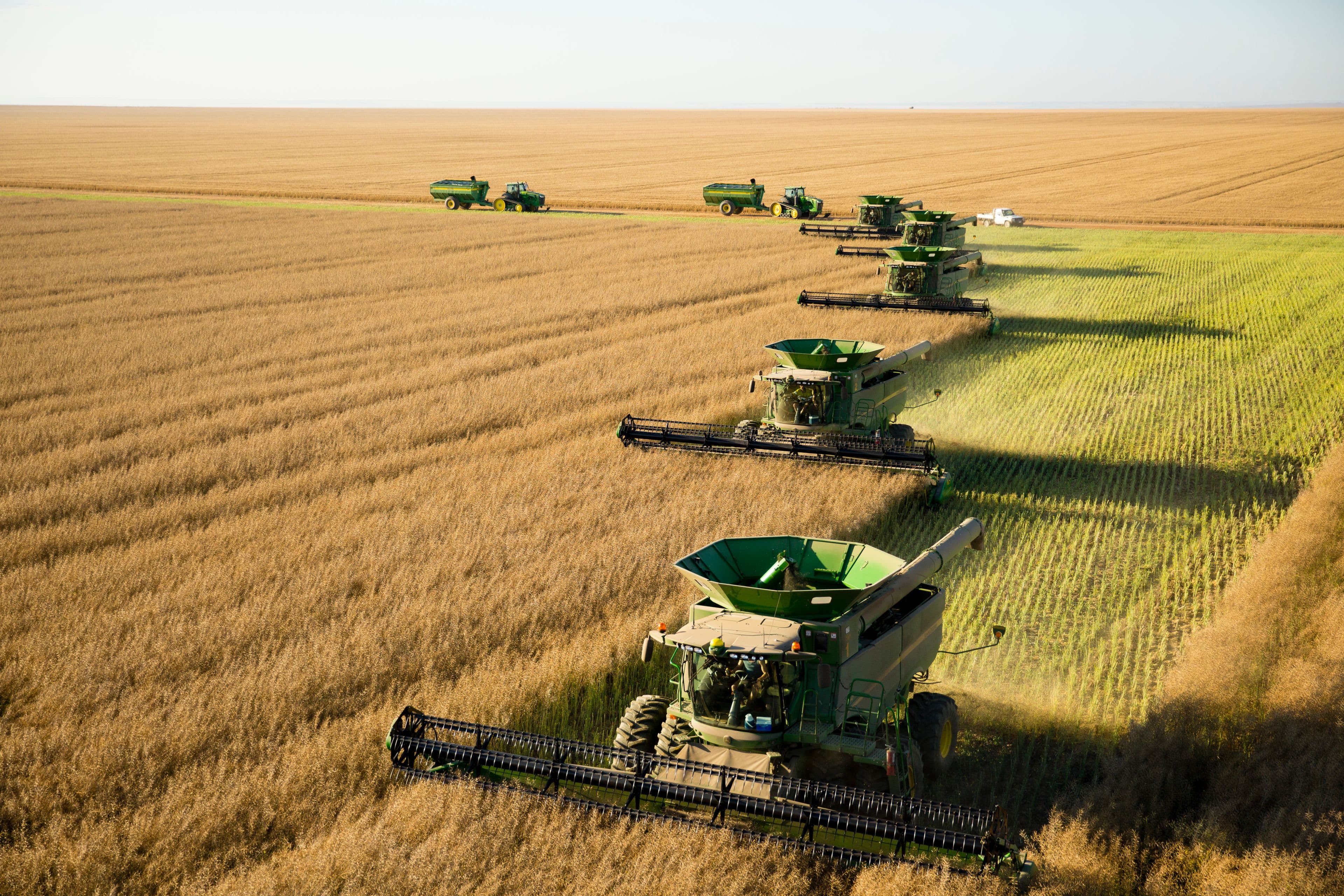 Erregulla Plains, Midlands Road, Mingenew WA 6522, Mingenew - Thumbnail 4