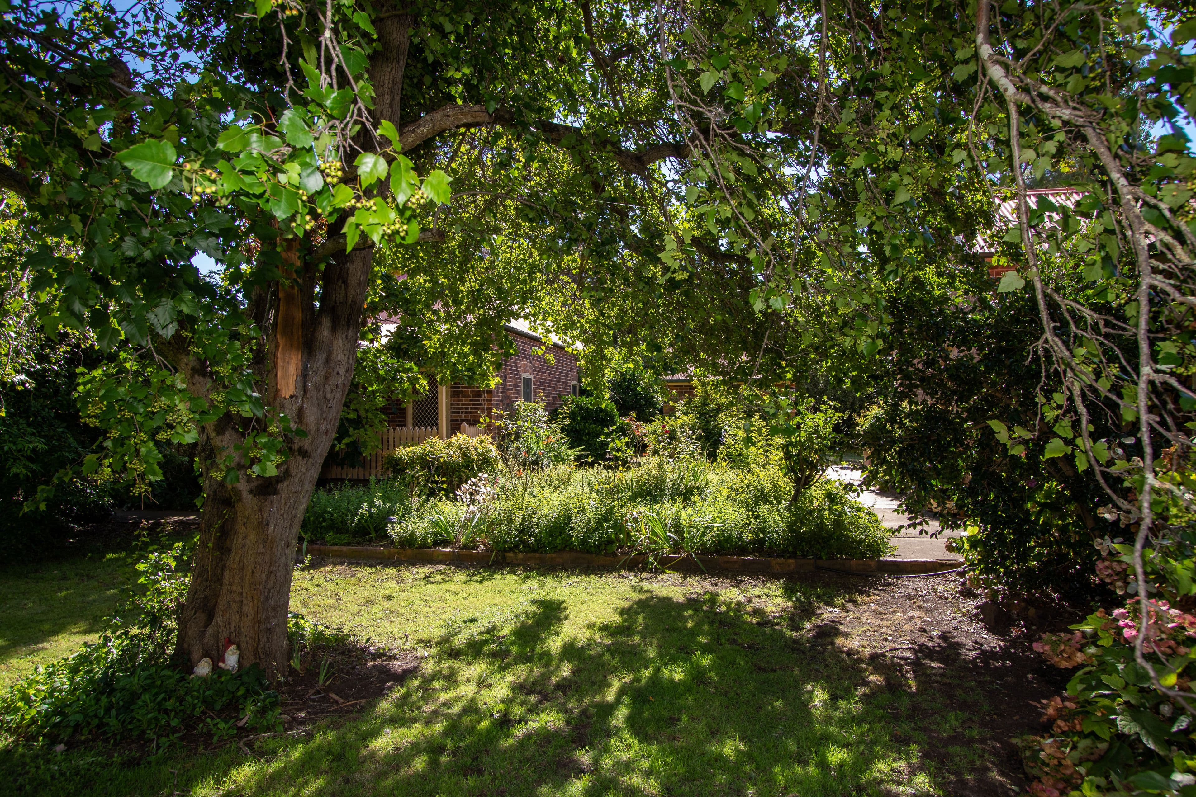 368 Pinegrove Road, Armidale NSW 2350, Armidale - Thumbnail 7