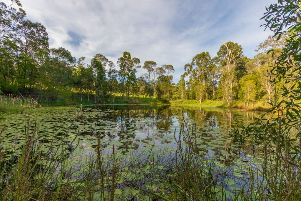 Wamuran QLD 4512, Wamuran - Thumbnail 8