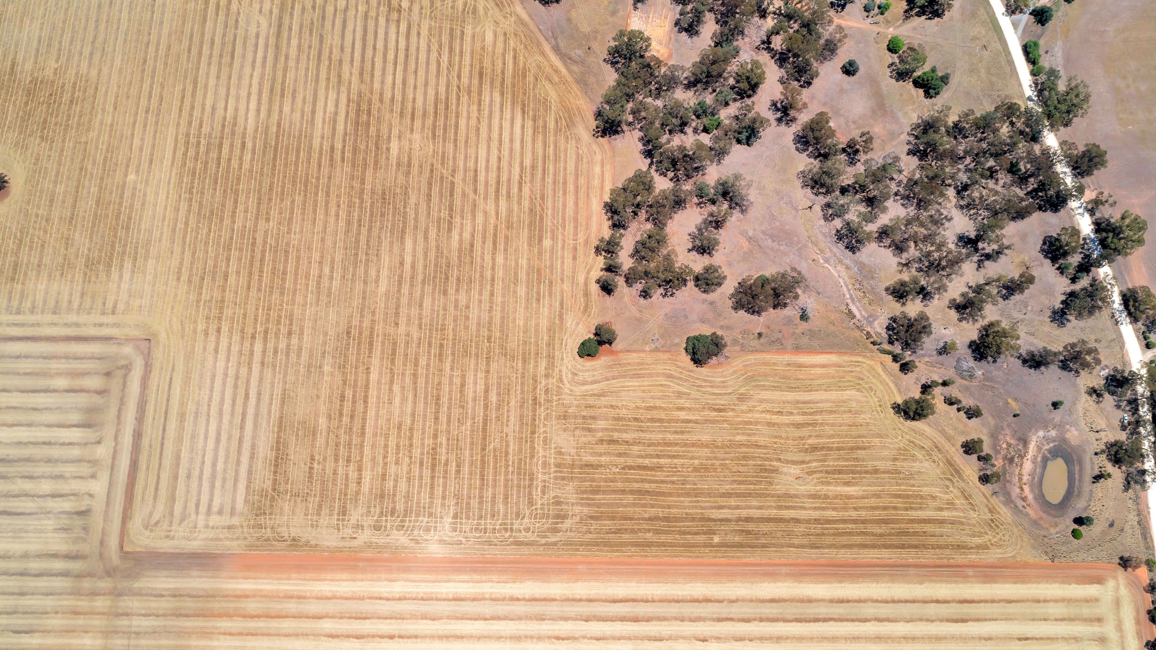 Lot 202 Avondale Road, Riverton SA 5412, Riverton - Thumbnail 6