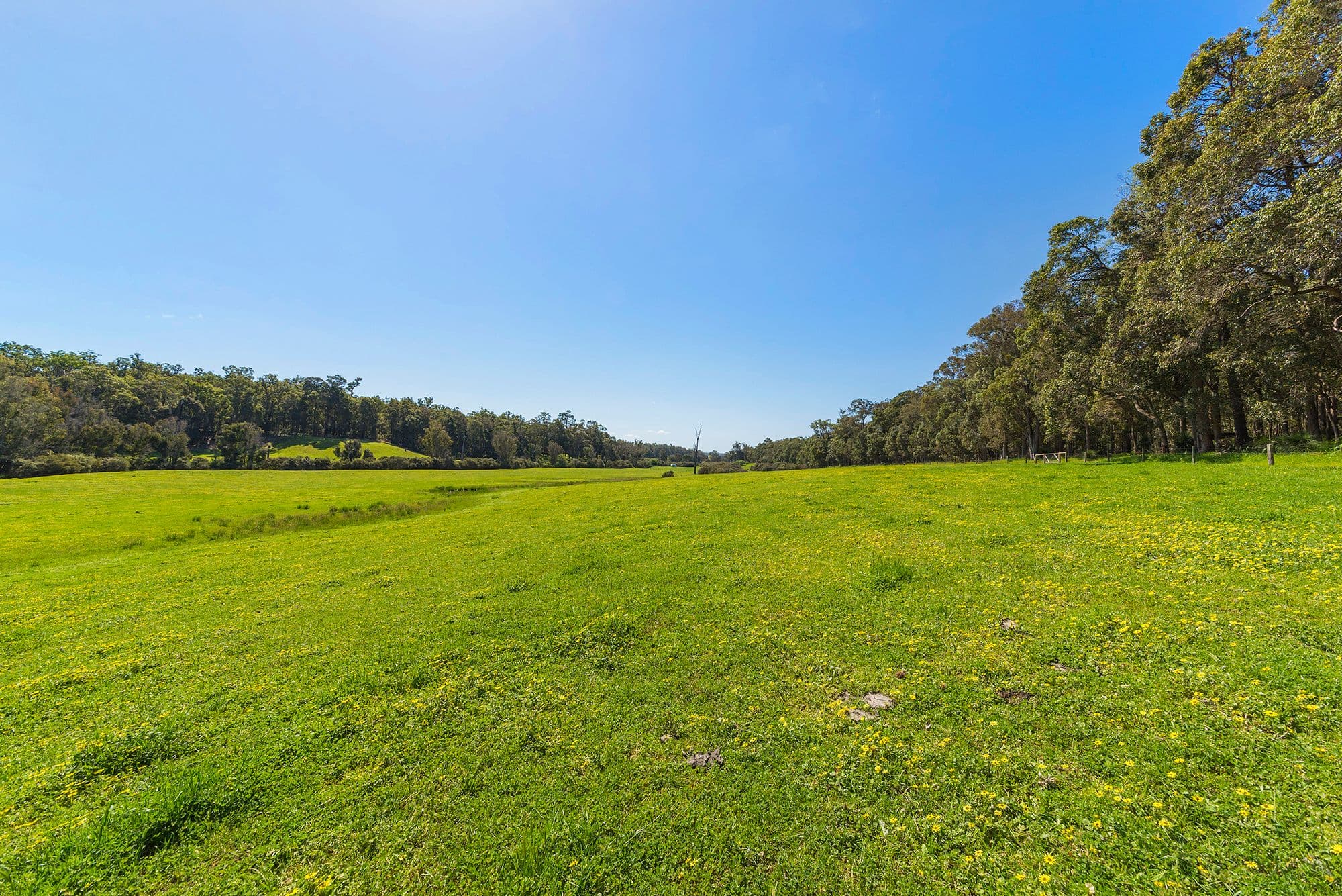 Nannup WA 6275, Nannup - Image 1