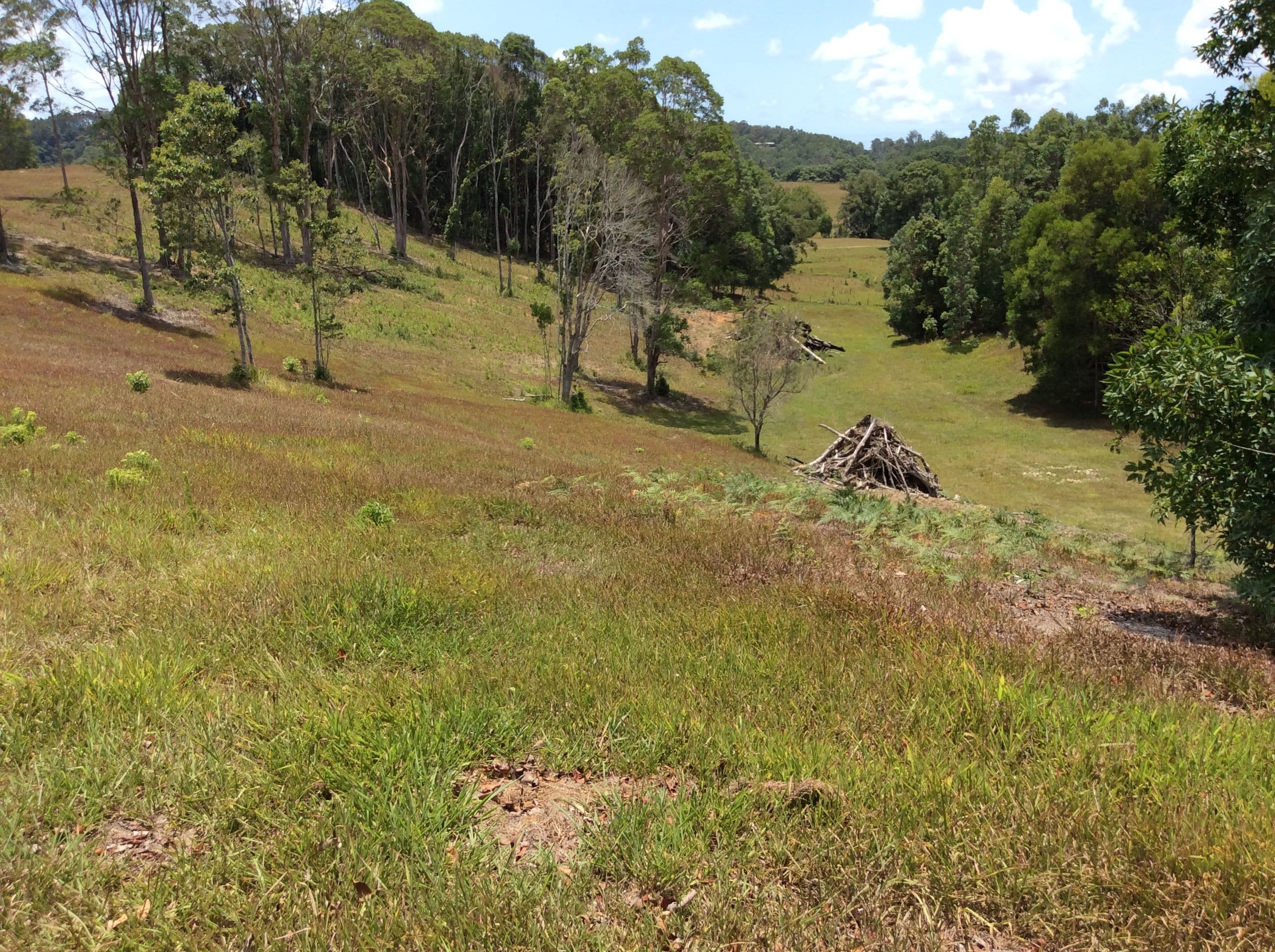 160 Richards Deviation, Dunbible NSW 2484, Dunbible - Thumbnail 4