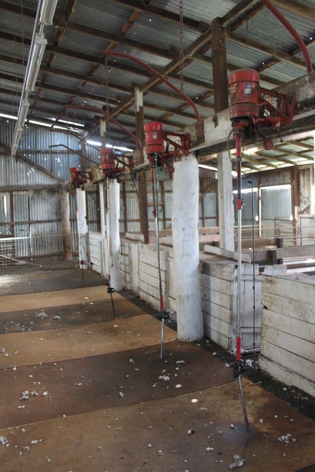 Summerfield at Quartermaine Road, KATANNING WA 6317, Katanning - Thumbnail 6