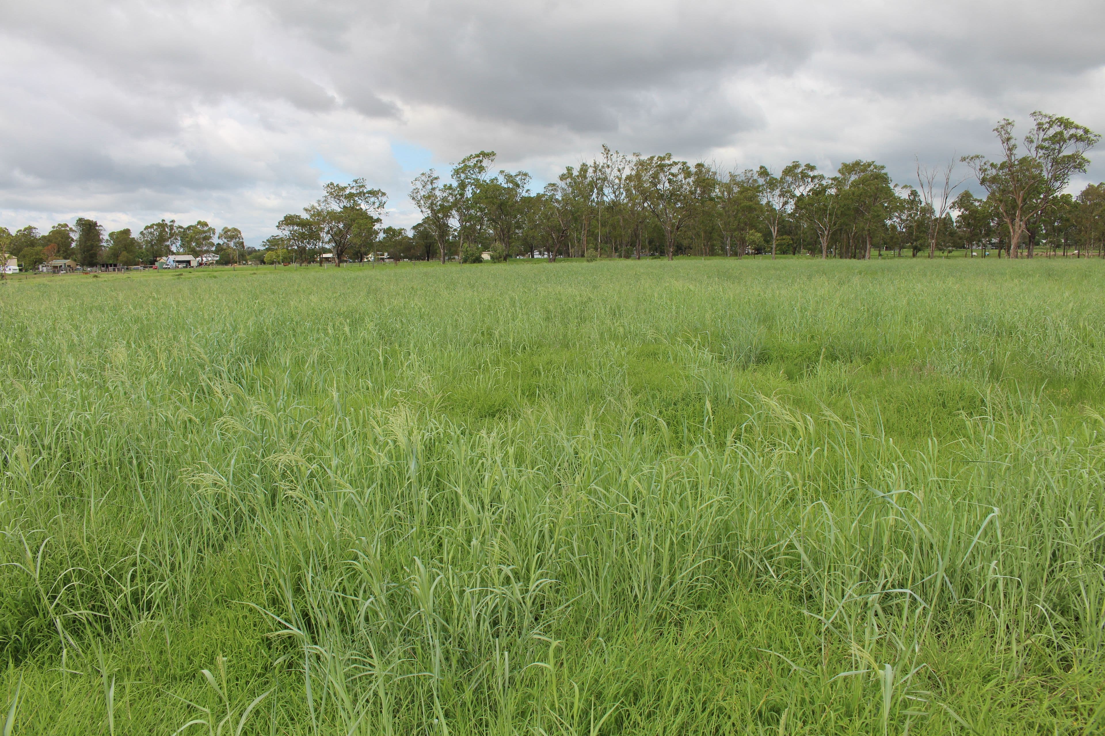 7852 Gore Highway, Millmerran QLD 4357, Millmerran - Image 1