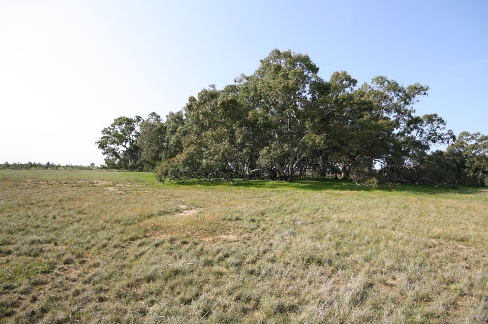 59 Old Banyena Road, ST ARNAUD VIC 3478, St Arnaud - Thumbnail 3