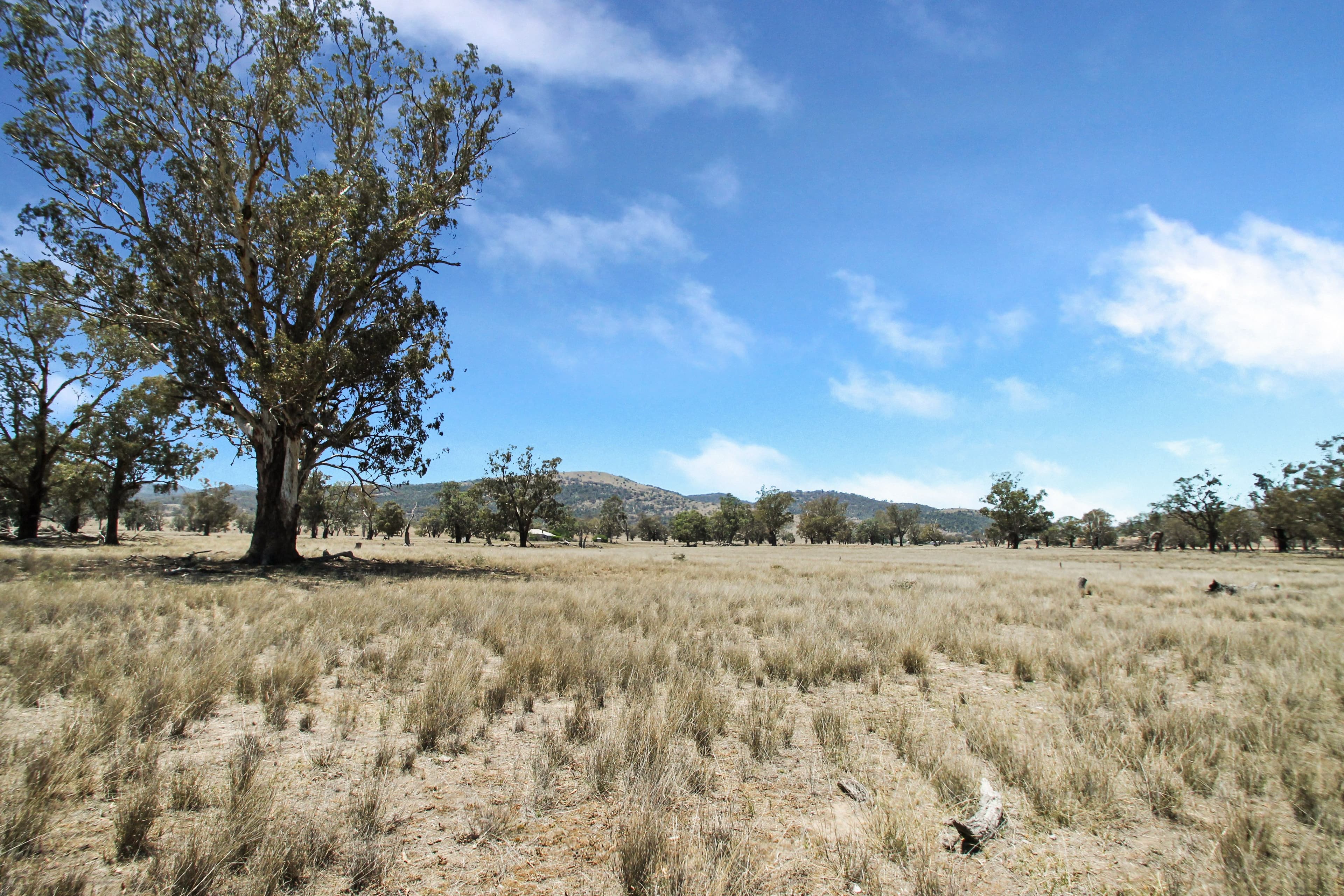 237 Porters Lane, Quirindi NSW 2343, Quirindi - Thumbnail 3