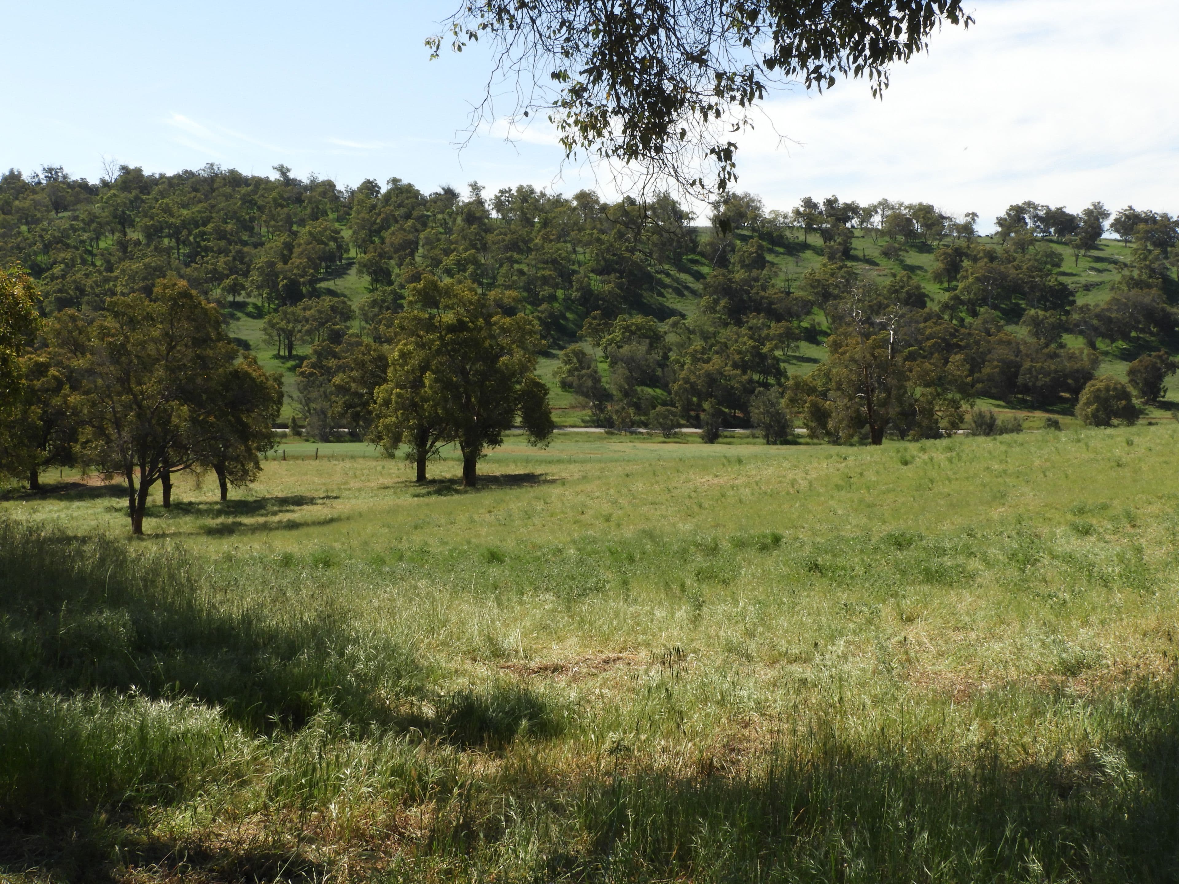 Lot 713 Chittering Rd Lower Chittering, Chittering WA 6084, Chittering - Thumbnail 7
