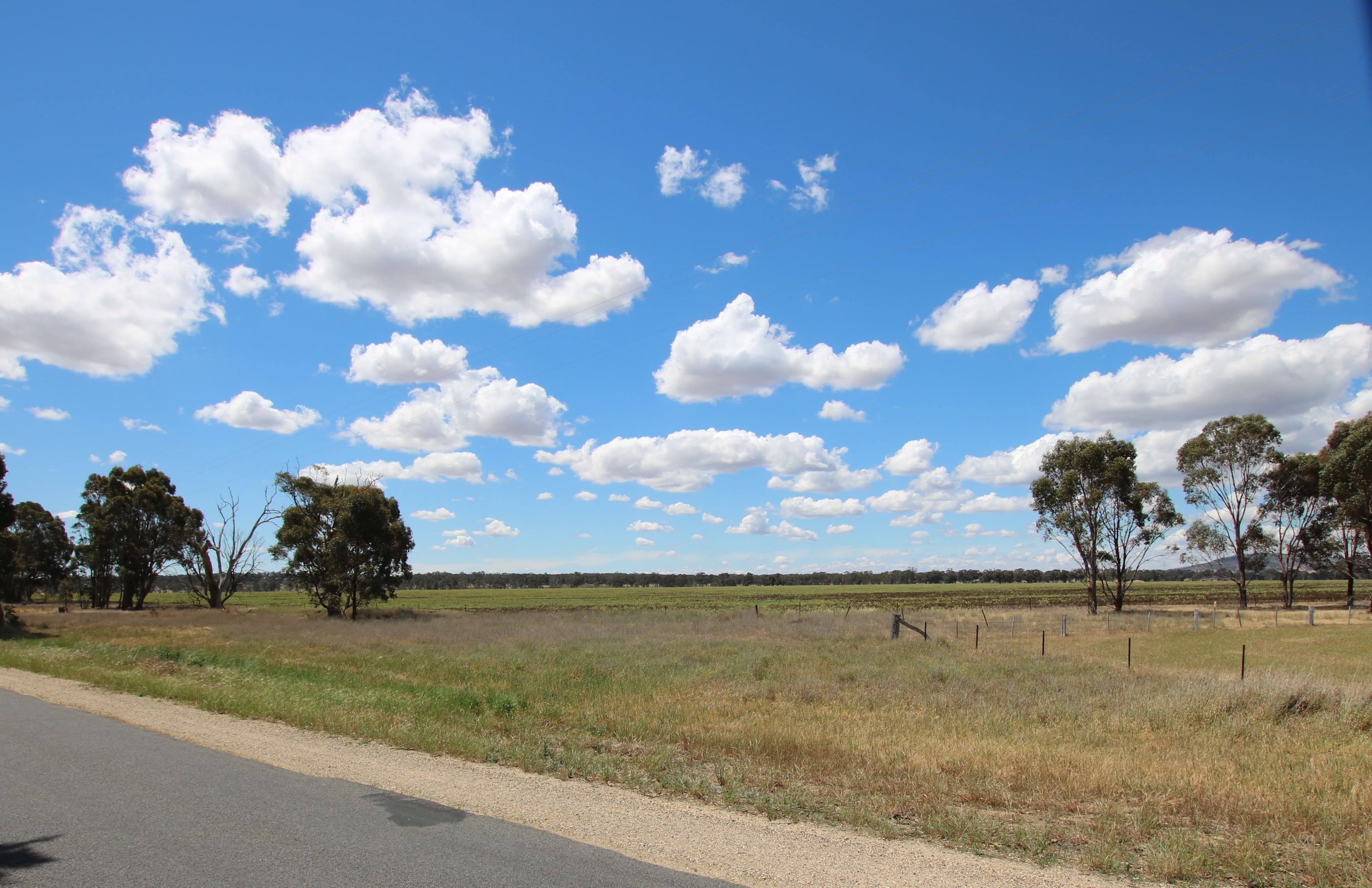 2665 Avoca Bealiba Road, Archdale VIC 3475, Archdale - Thumbnail 5