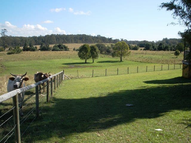 188 Browns Road, Kurwongbah QLD 4503, Kurwongbah - Thumbnail 6