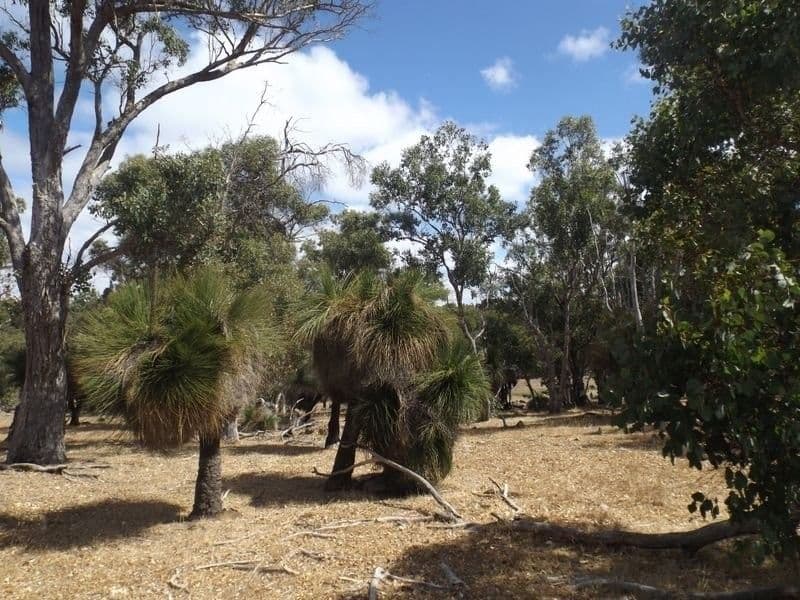 Bridgetown WA 6255, Bridgetown - Thumbnail 7
