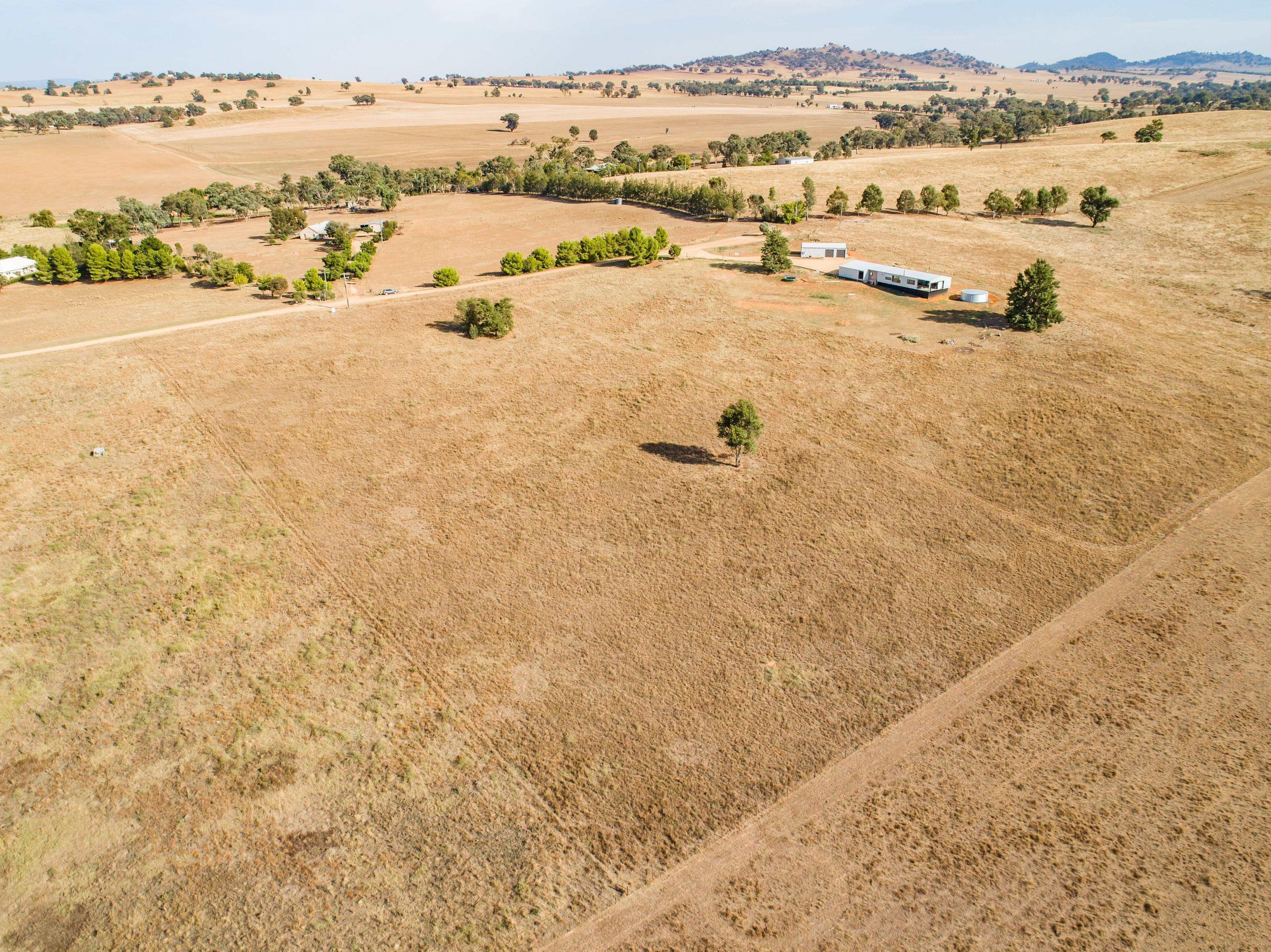 98 Willowvale Road, Cowra NSW 2794, Cowra - Thumbnail 4