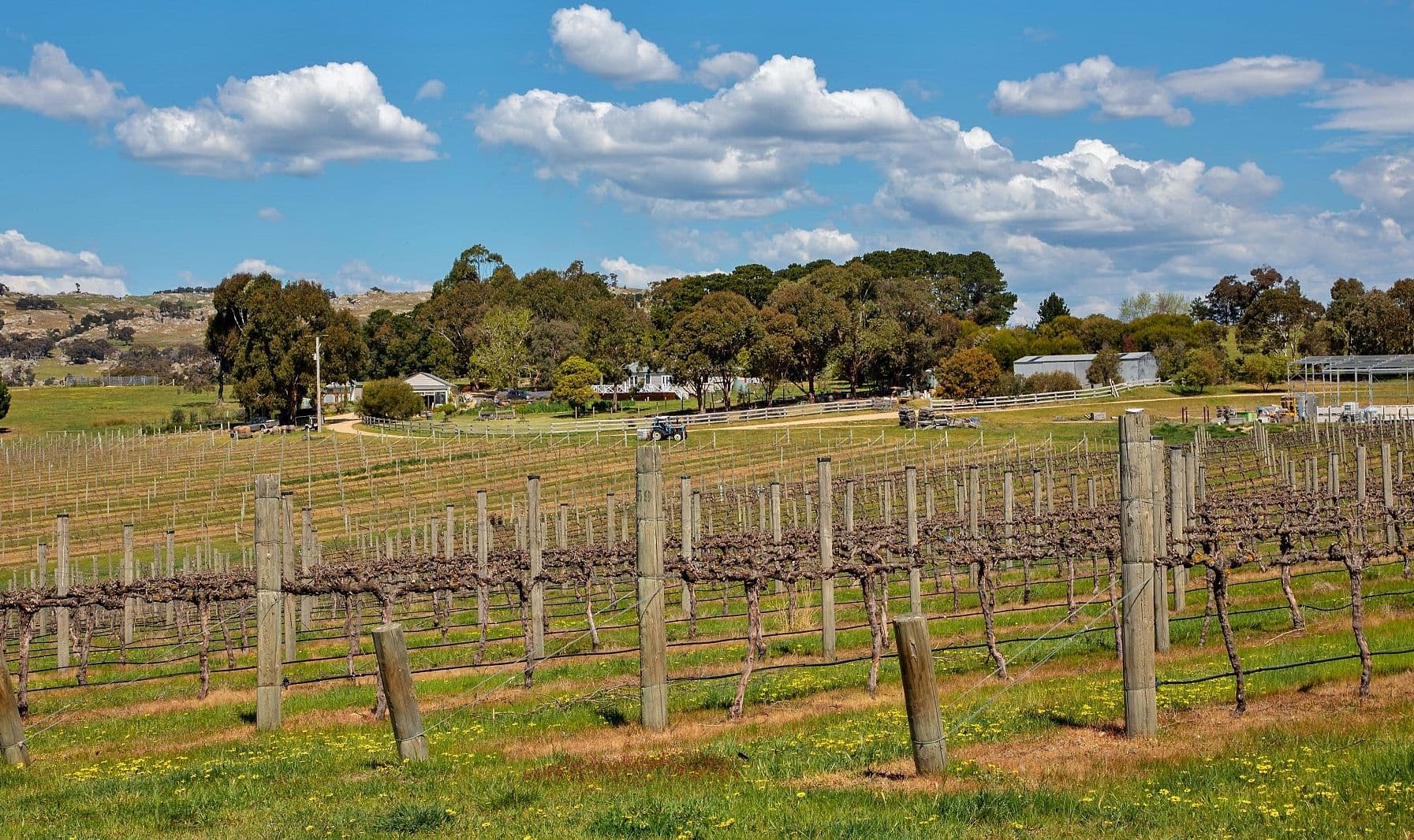 80 Tooborac-Baynton Road, Tooborac VIC 3522, Tooborac - Thumbnail 5