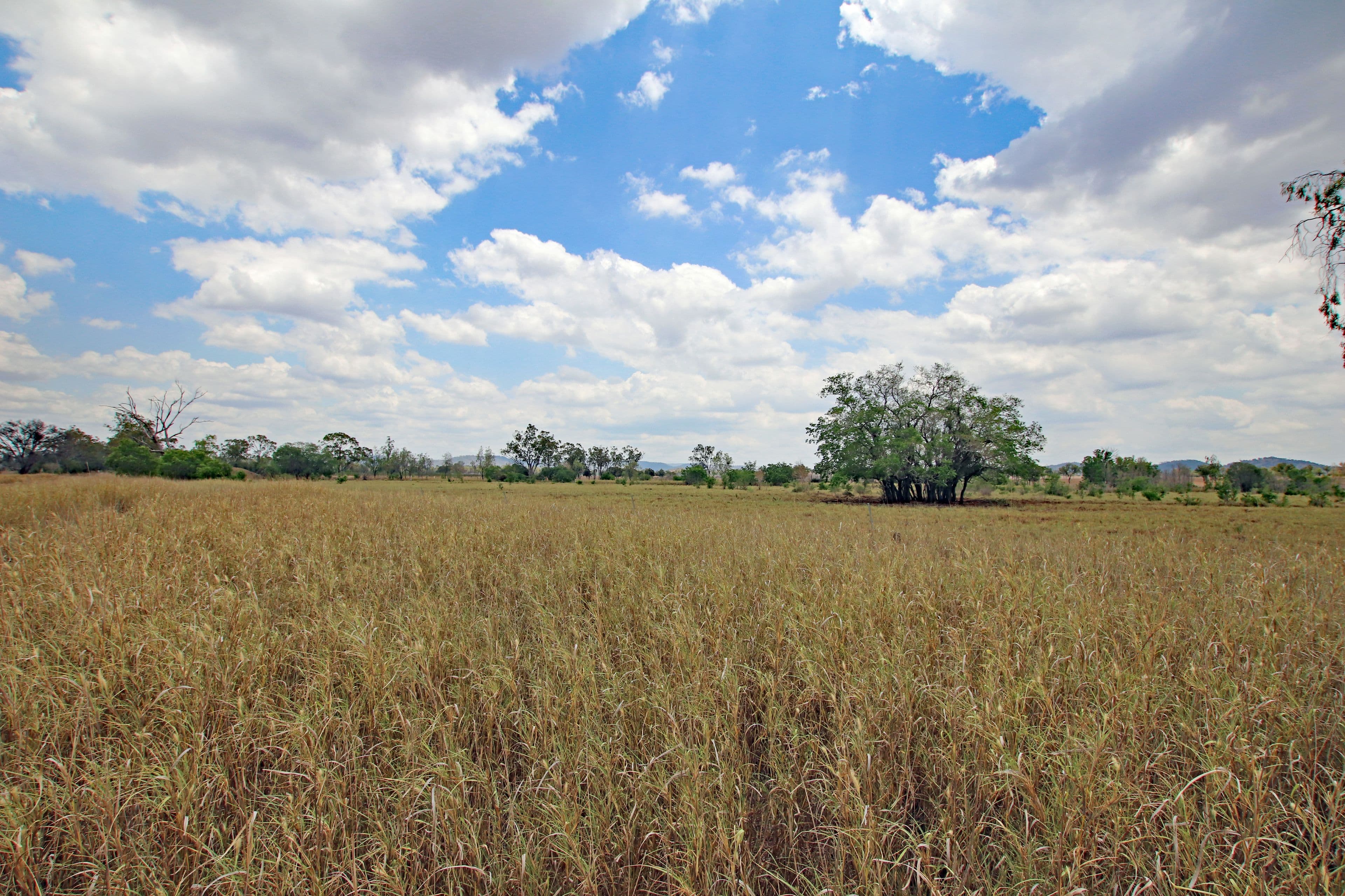 47413 Burnett Highway, Dululu QLD 4702, Dululu - Image 1
