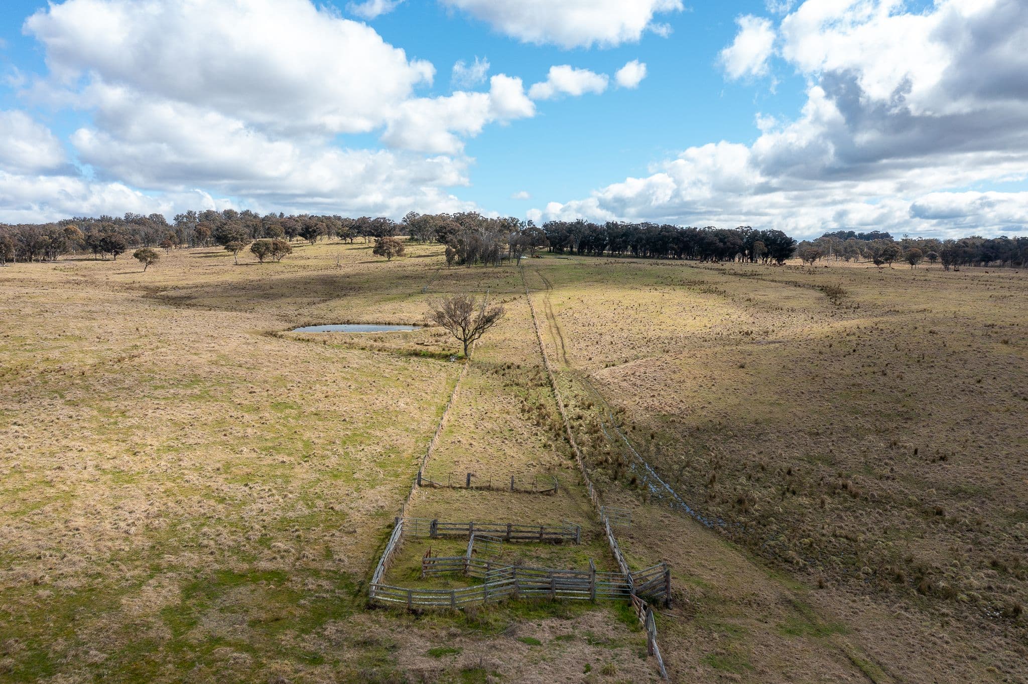 110 Silverton Road, Armidale NSW 2350, Armidale - Thumbnail 8