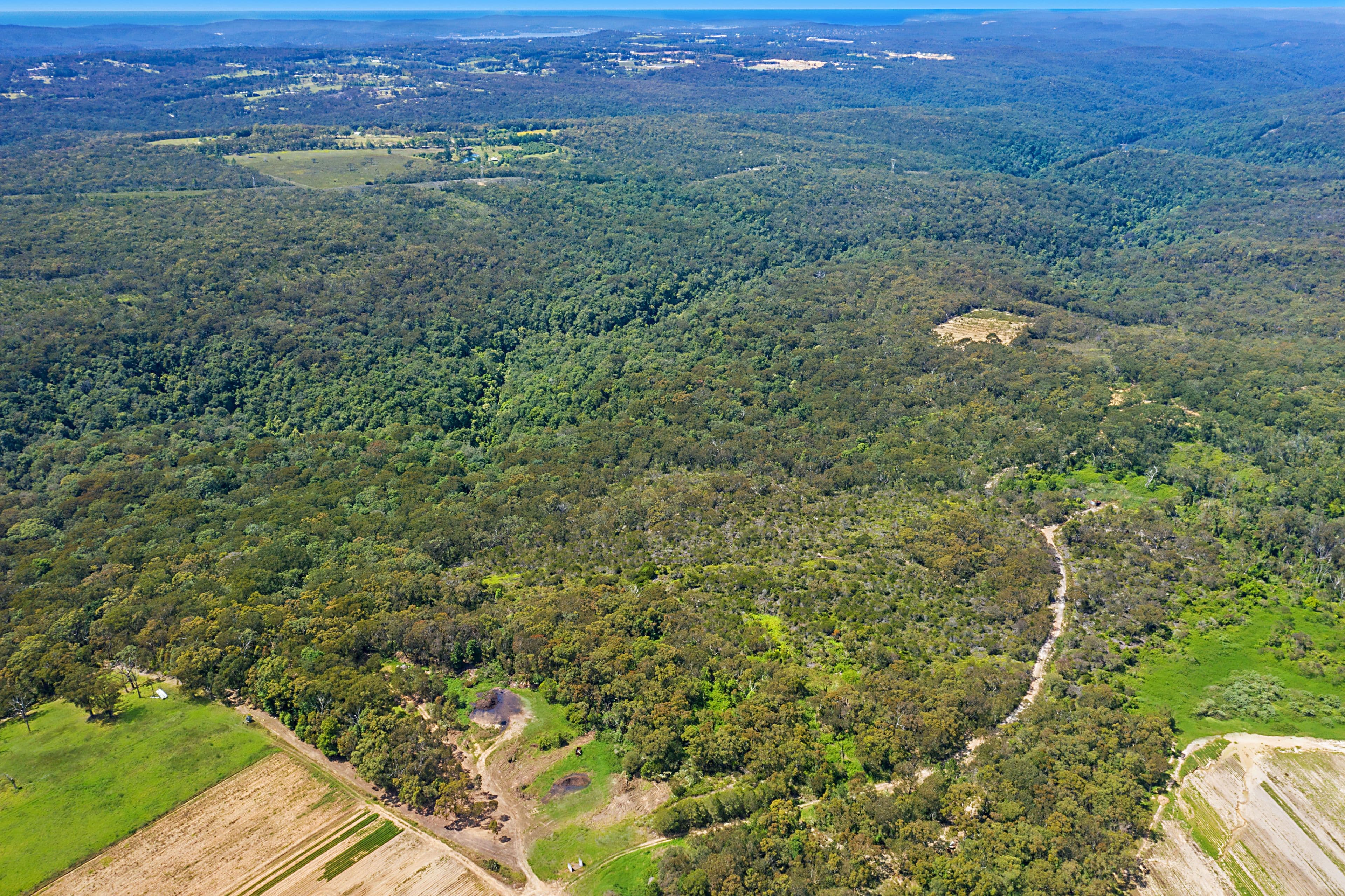 169 Euloo Road, Peats Ridge NSW 2250, Peats Ridge - Thumbnail 3