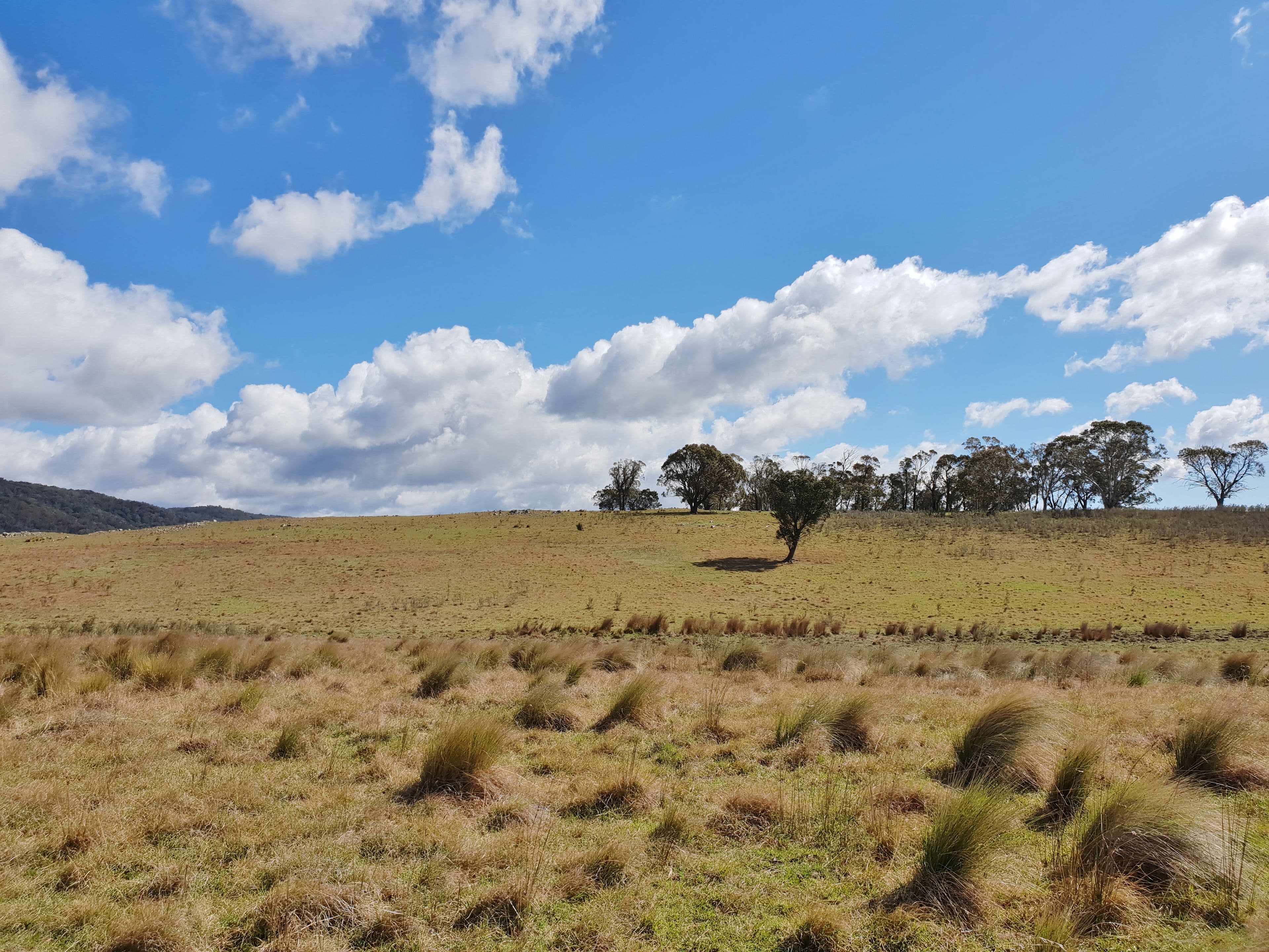 111 Hereford Hall Road, Hereford Hall, Braidwood NSW 2622, Braidwood - Thumbnail 6