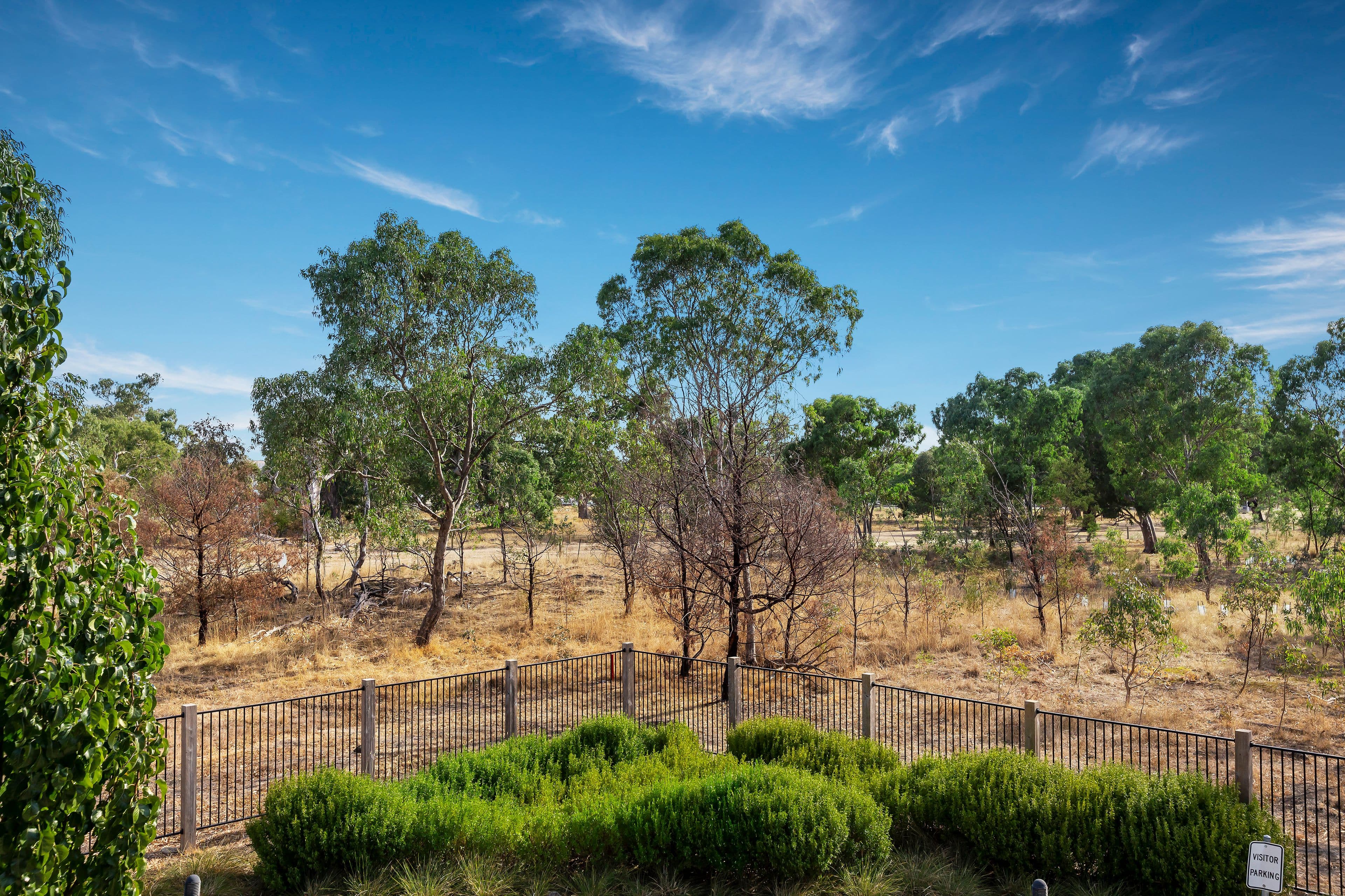 13 Gorman Drive, Mill Park VIC 3082, Mill Park - Thumbnail 7