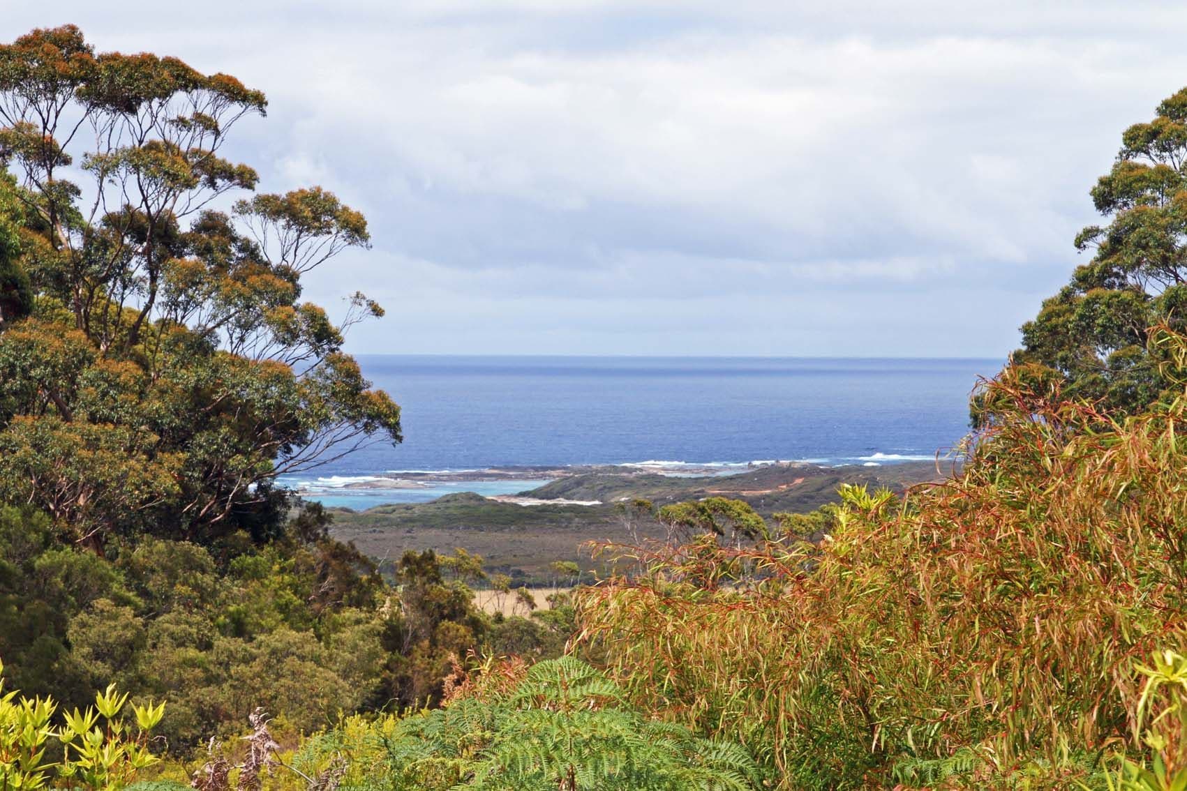 626 Lights Road, Denmark WA 6333, Denmark - Thumbnail 5