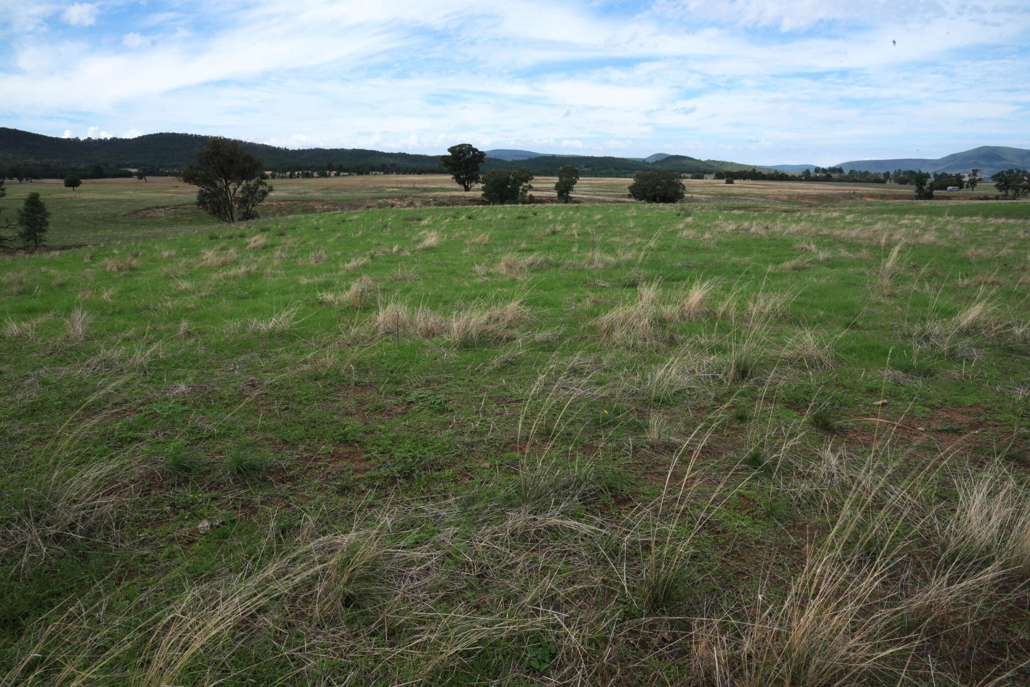 Eugowra NSW 2806, Eugowra - Thumbnail 4