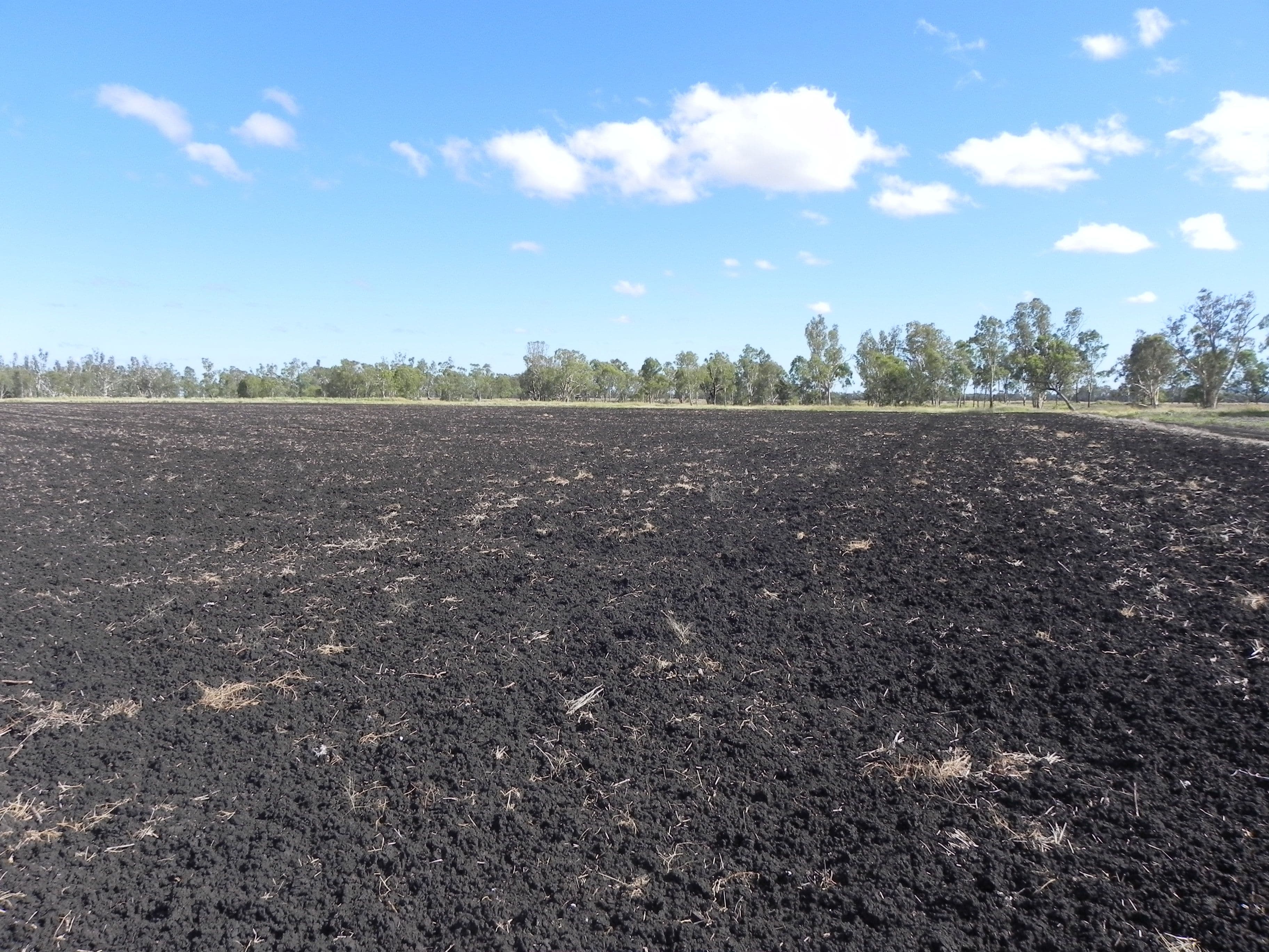 1663 Millmerran Leyburn Road, Tummaville QLD 4352, Tummaville - Image 1