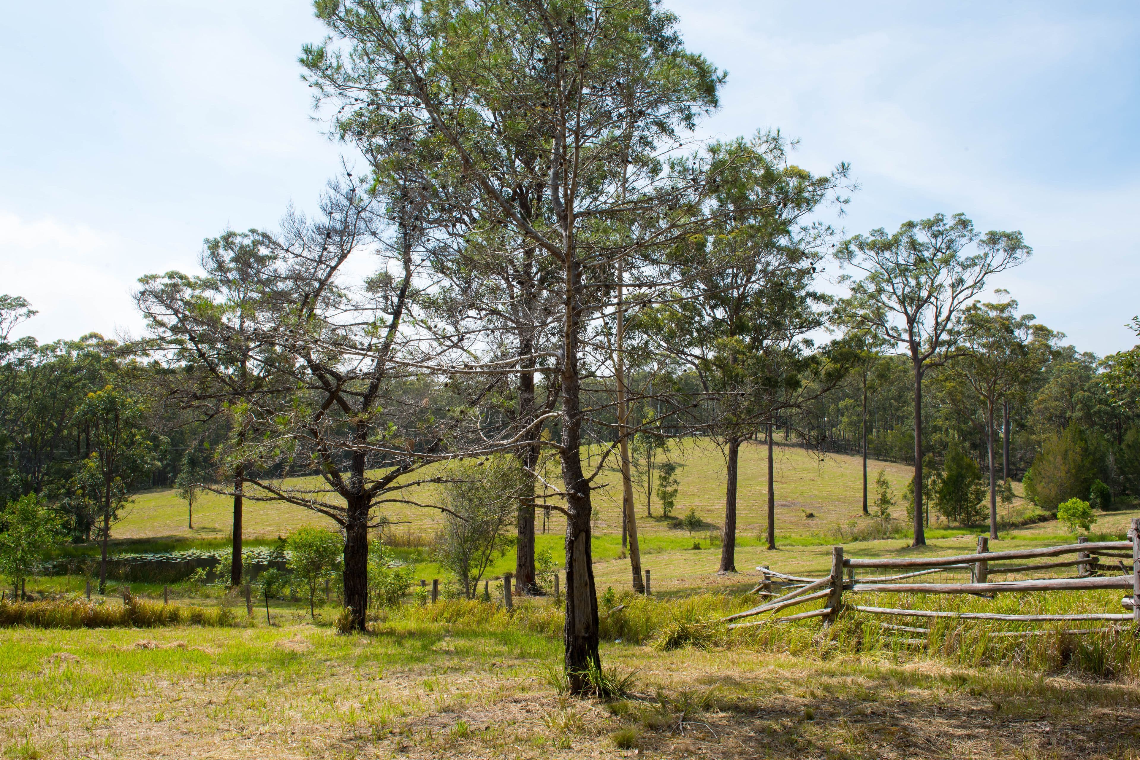 1730 The Lakes Way, Rainbow Flat NSW 2430, Rainbow Flat - Thumbnail 5