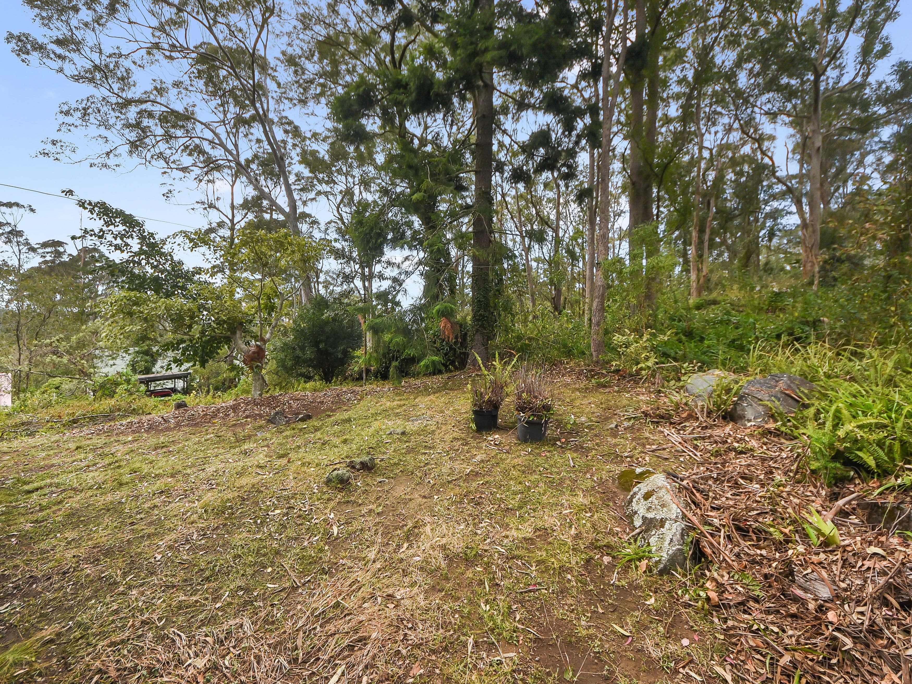 16 Bateson Road, Mount Nebo QLD 4520, Mount Nebo - Thumbnail 7