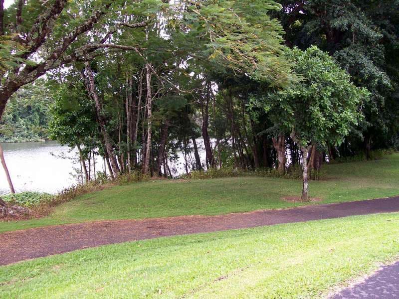 97 Coronation Drive, South Innisfail QLD 4860, South Innisfail - Thumbnail 3