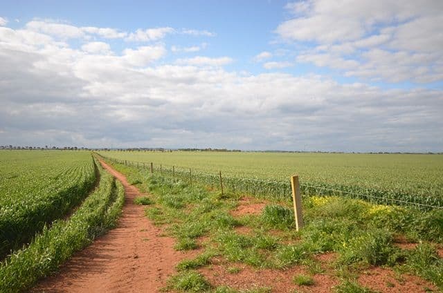 "Welkes" Lake View Road, Brinkworth SA 5464, Brinkworth - Thumbnail 3