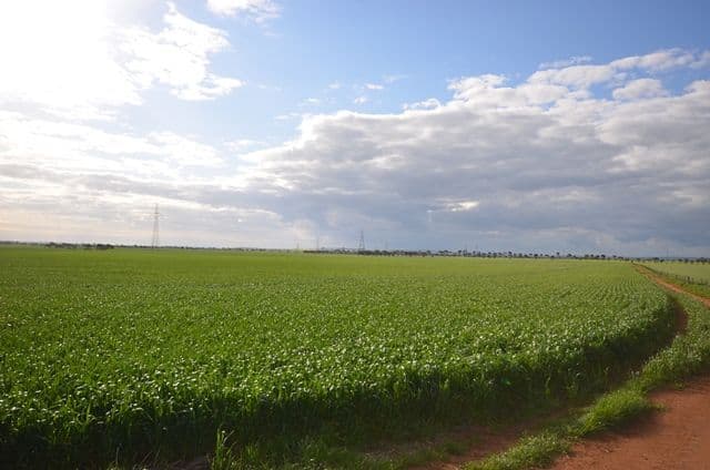 "Welkes" Lake View Road, Brinkworth SA 5464, Brinkworth - Image 1