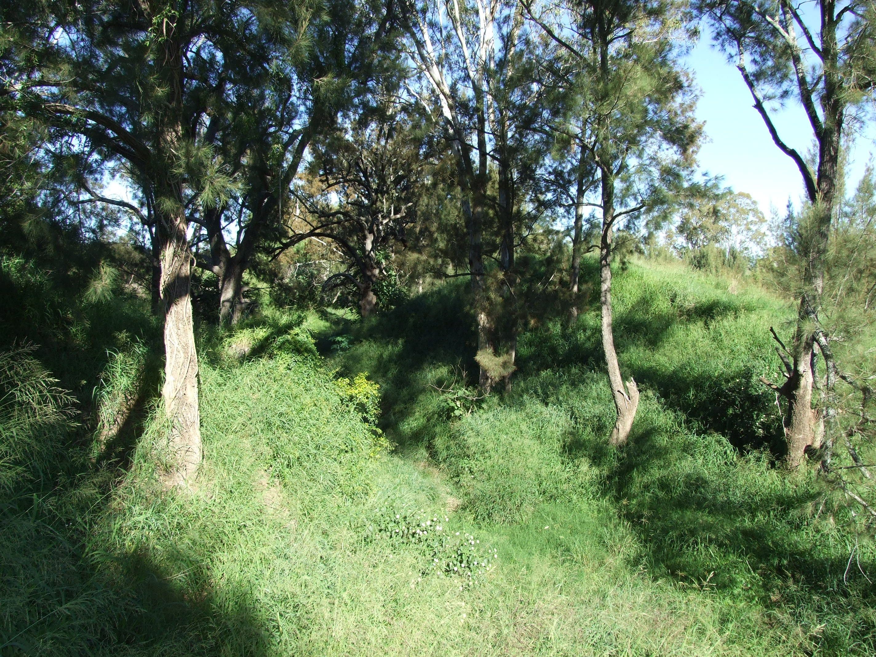 L11 Pierce Creek Road, Emu Creek QLD 4355, Emu Creek - Thumbnail 3