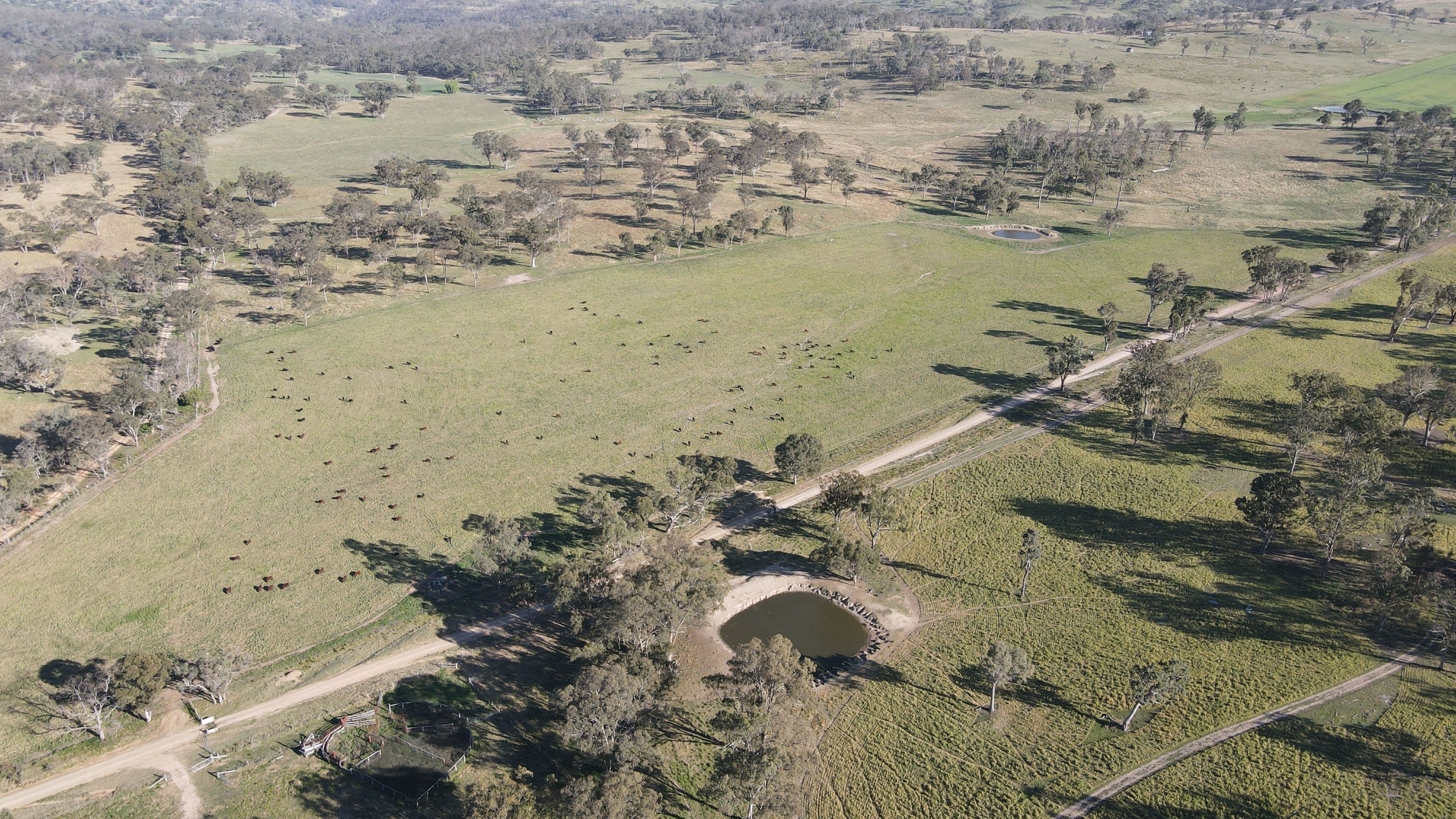 "Lower 4 Mile" Strachan Road, Deepwater NSW 2371, Deepwater - Thumbnail 6
