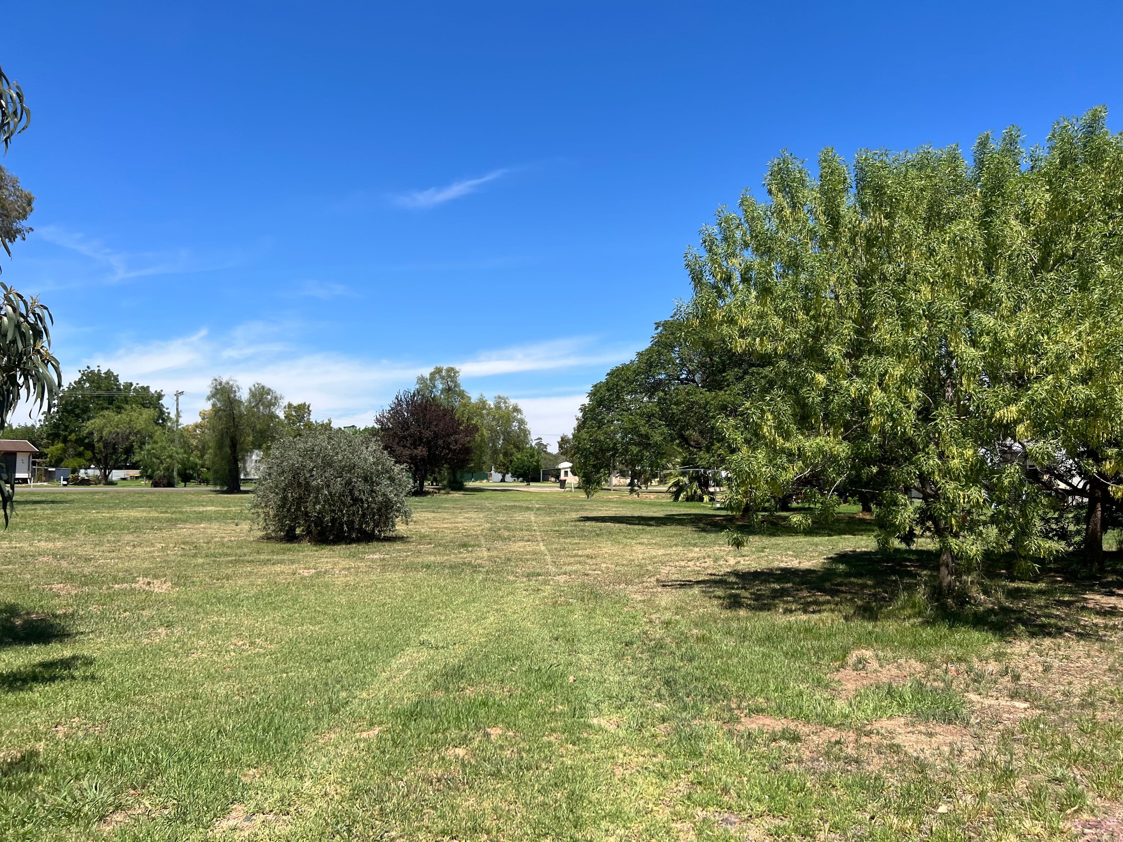 27 Oberon Street, Eugowra NSW 2806, Eugowra - Thumbnail 5