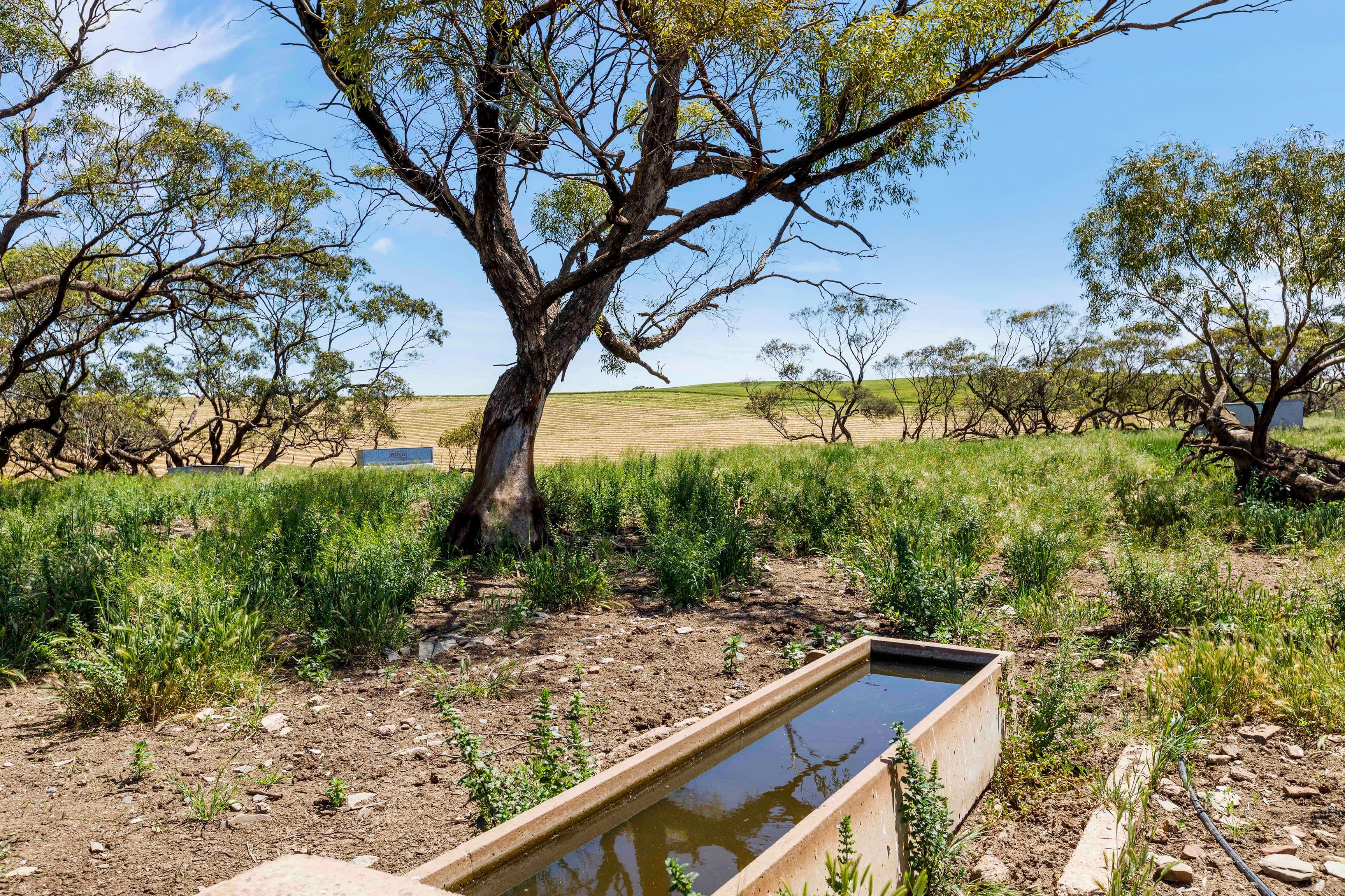 'Gordons' 79 Tilley Road, Bethel SA 5373, Bethel - Thumbnail 6