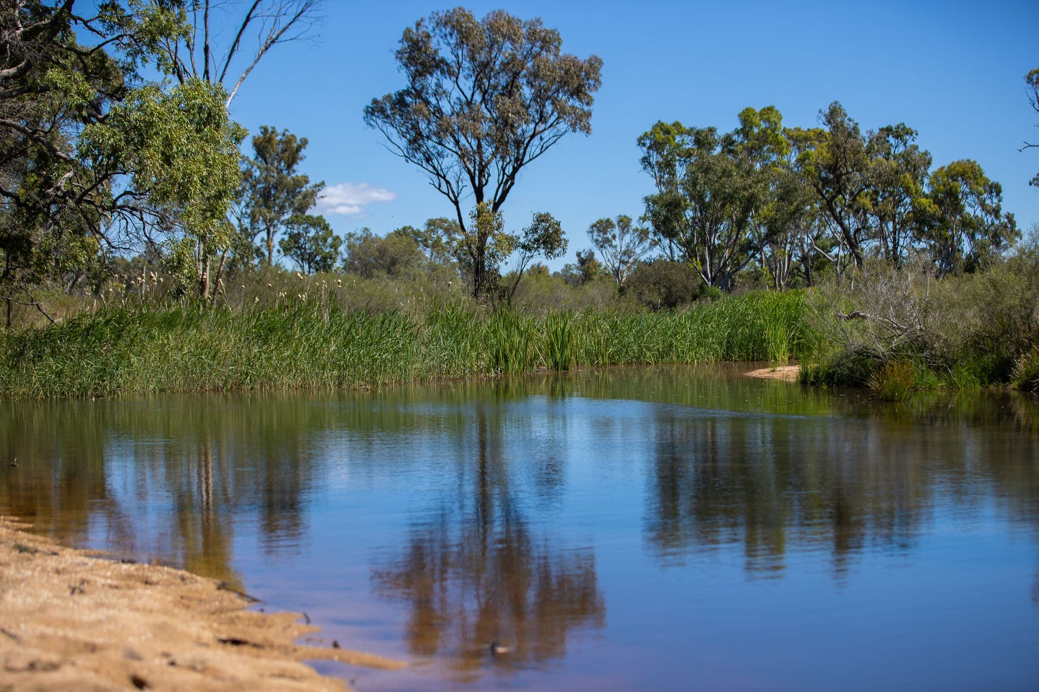 Lot 66 Glen Hazel Road, Inverell NSW 2360, Inverell - Thumbnail 2